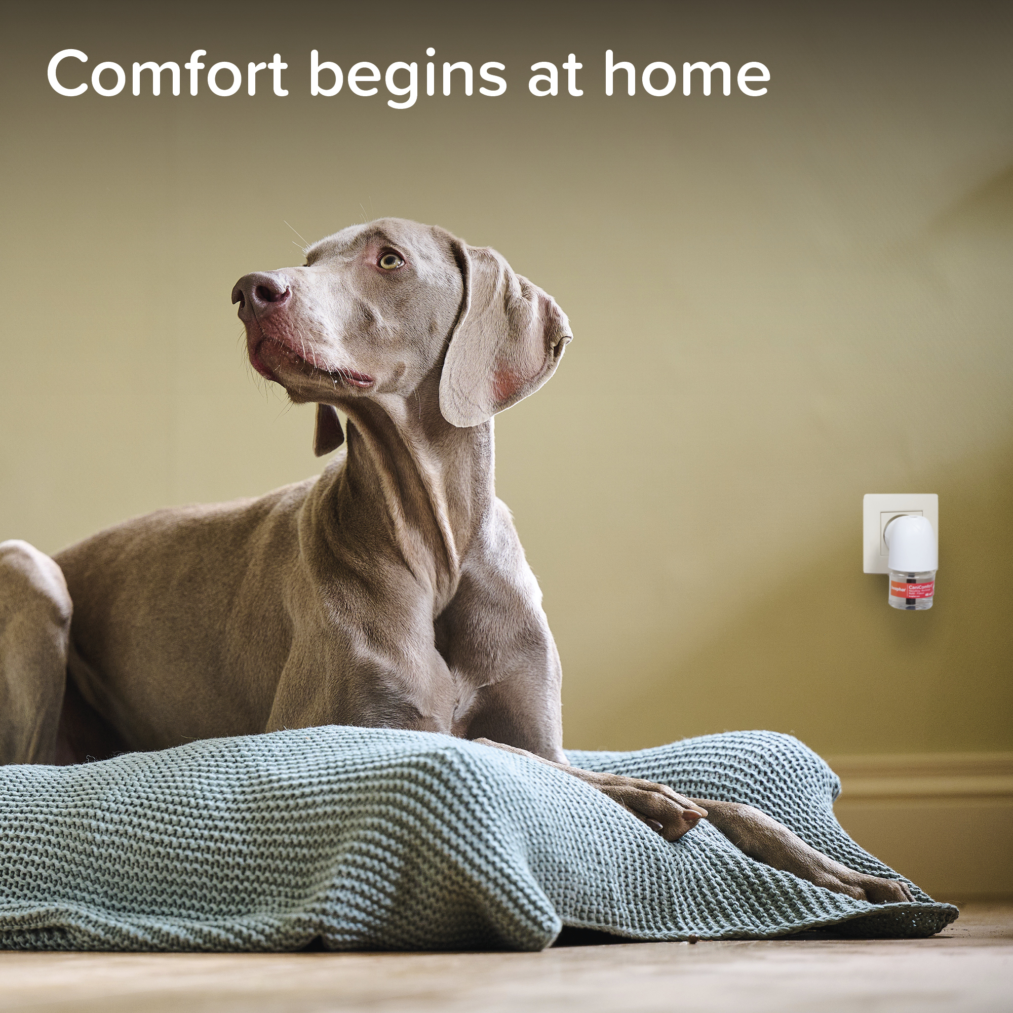 Beaphar CaniComfort® 30 Day Calming Diffuser Refill, 48ml