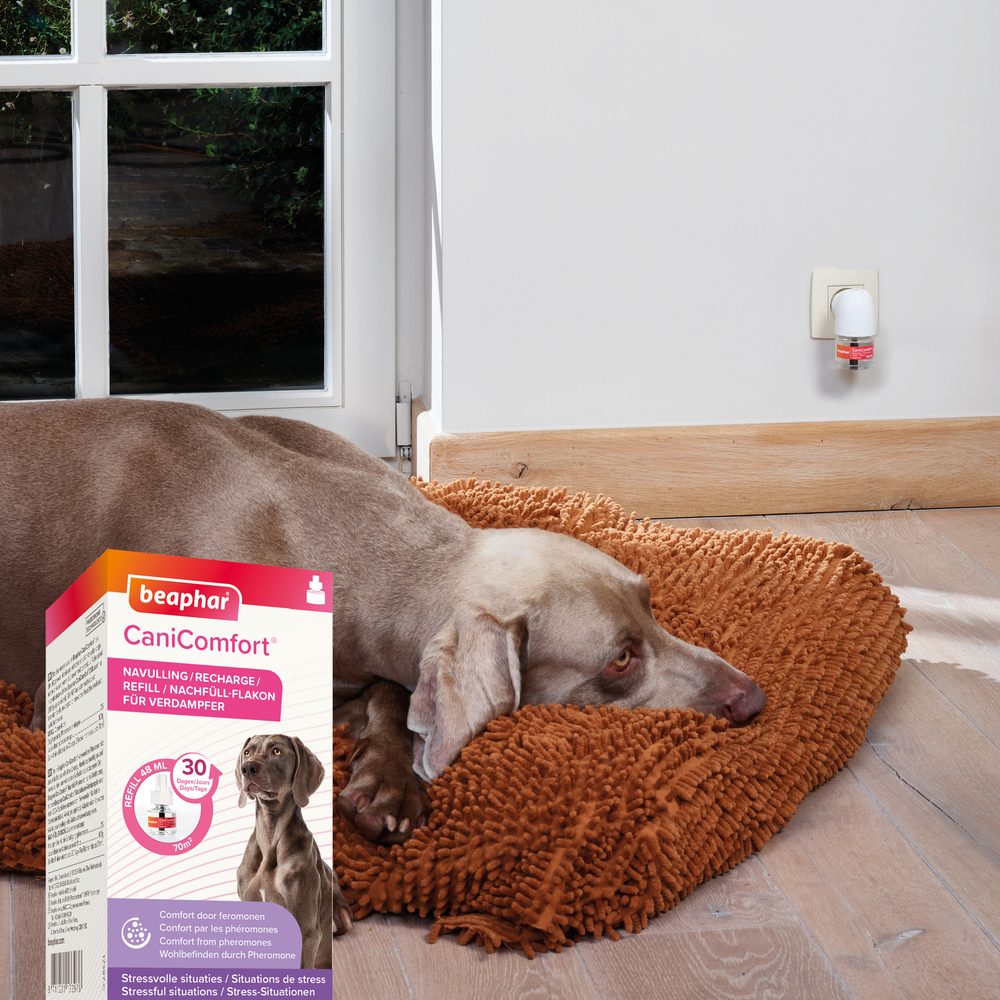 CaniComfort®, recharge calmante pour chiens