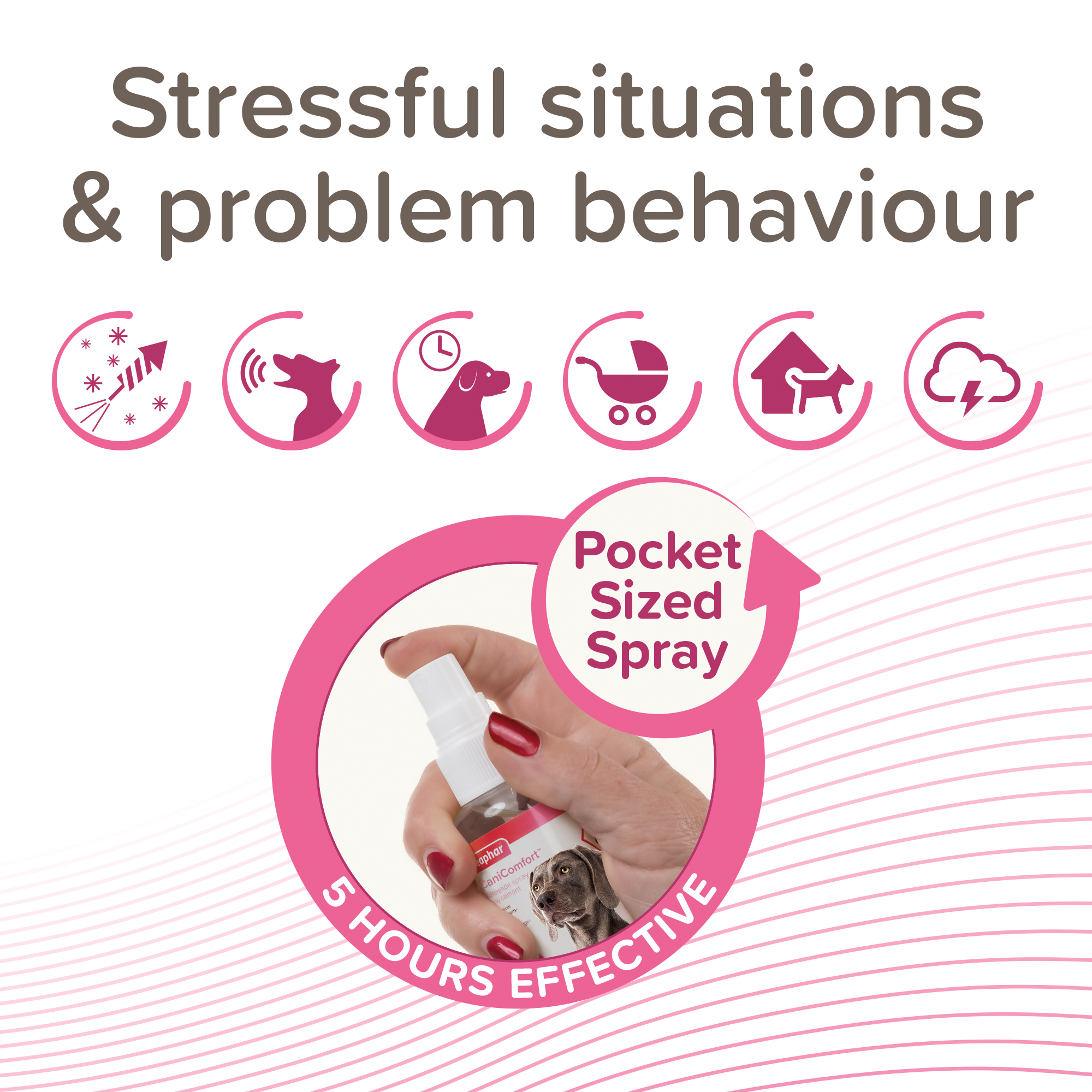 CaniComfort® nyugtató hatású feromonos spray