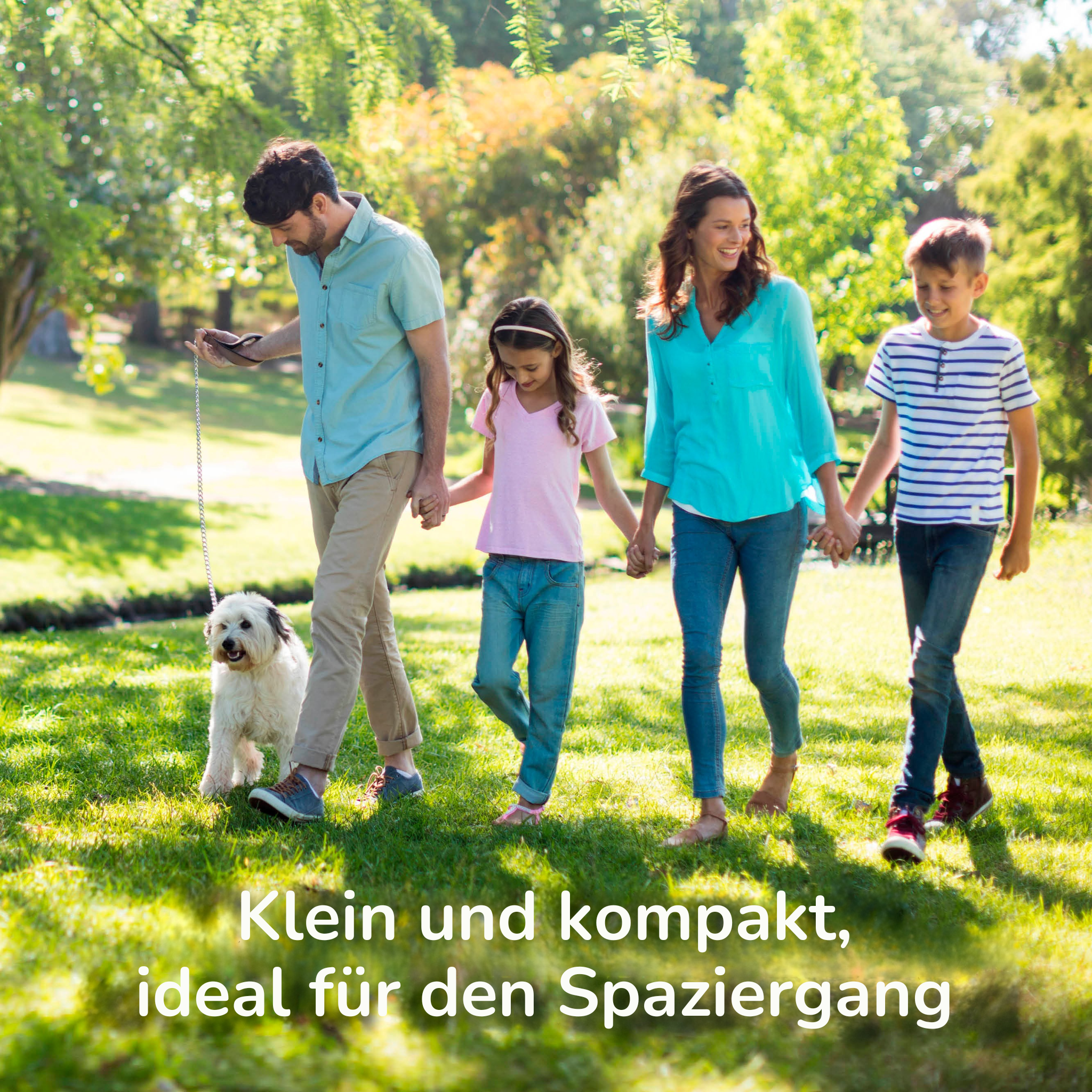 Beaphar Zeckenstift, 1 St.