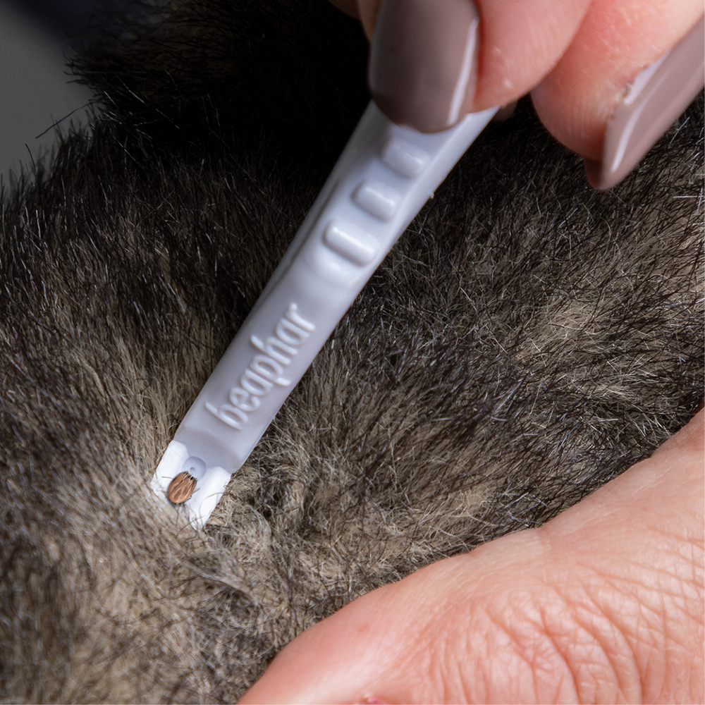 Beaphar Tekenpen 2-zijdig