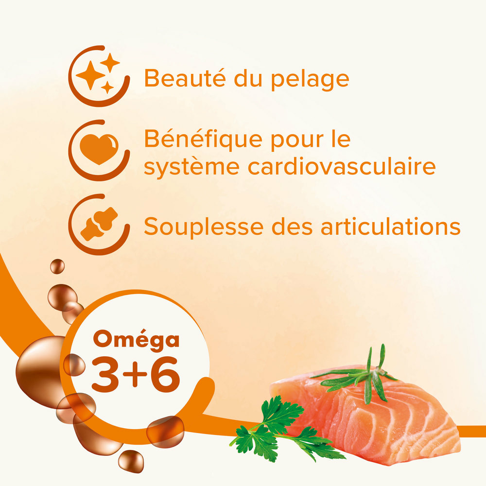 Huile de saumon pour chien et chat 430 ml