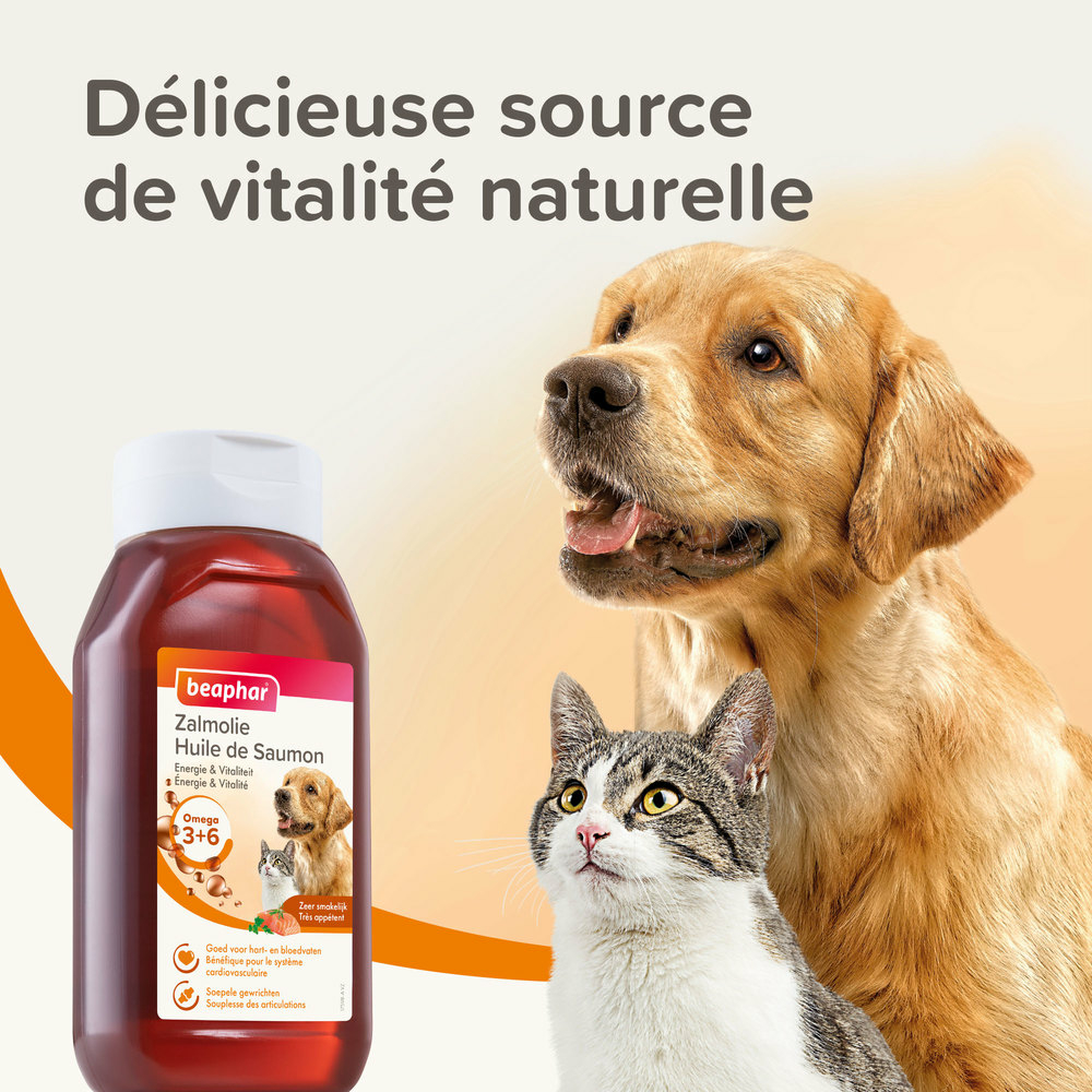 Huile de saumon pour chien et chat 430 ml