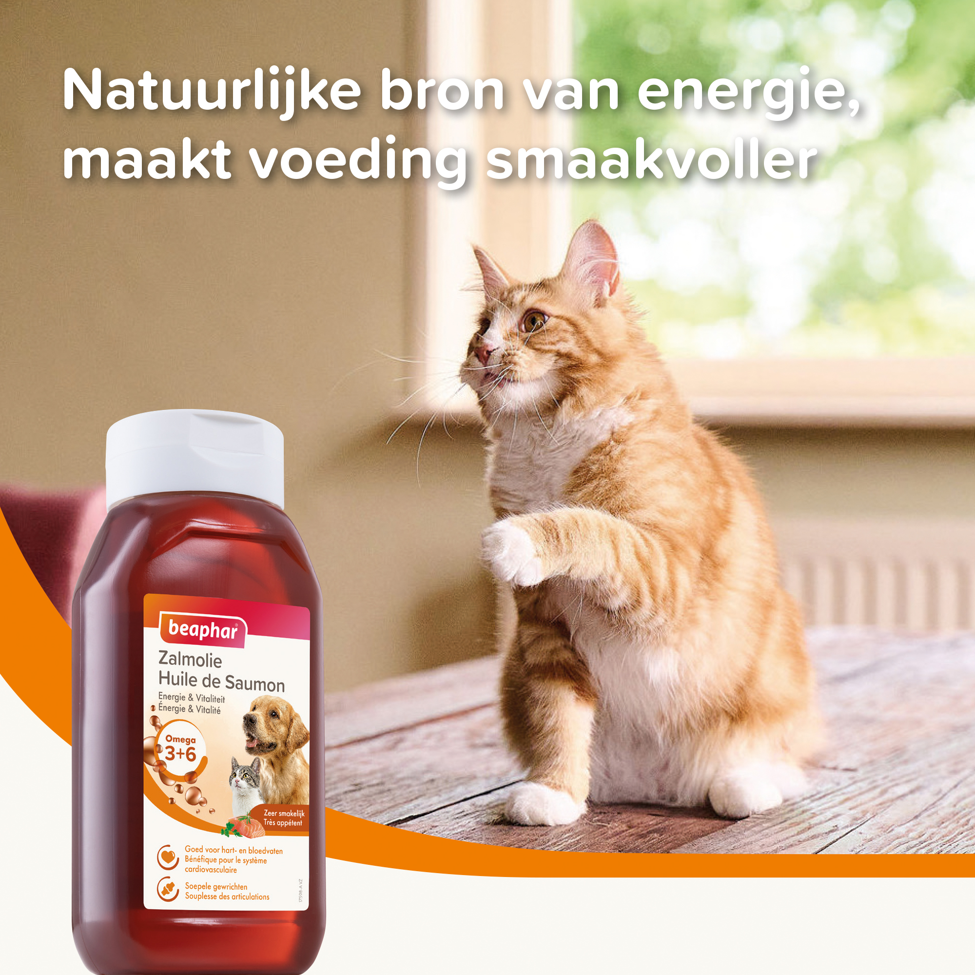 Beaphar Zalmolie 430ml