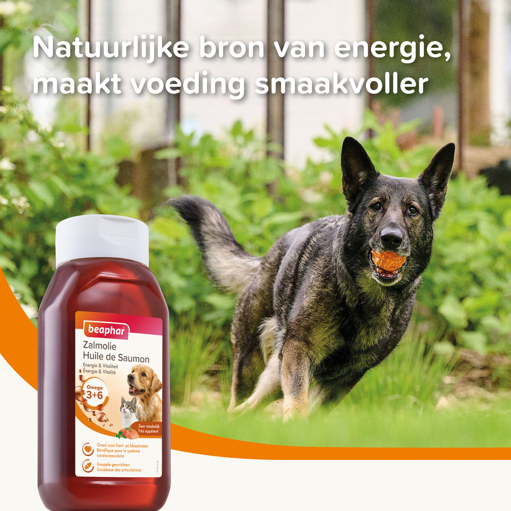 Beaphar Zalmolie 430ml