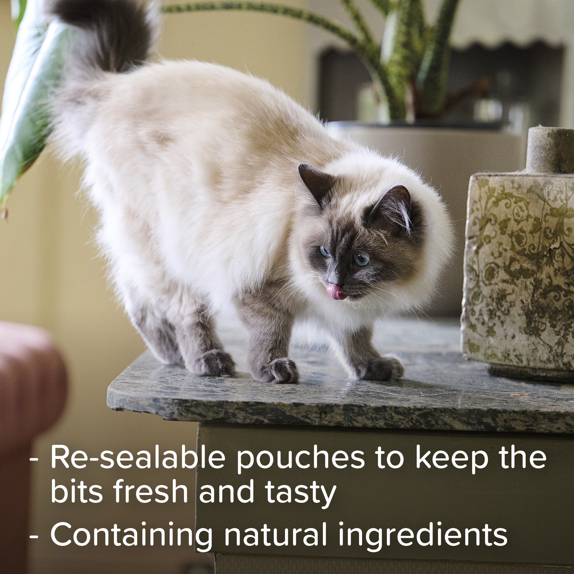 Beaphar Hairball Easy Treats for Cats, 35g (75 treats approx.)