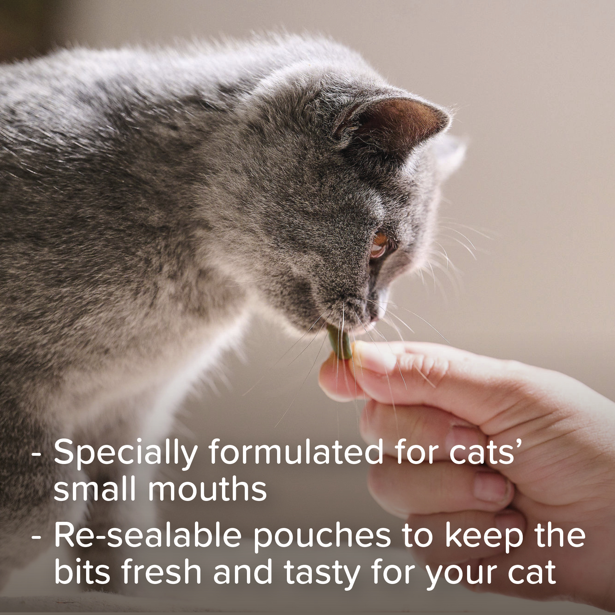 Beaphar Dental Easy Treats for Cats, 35g (75 treats approx.)