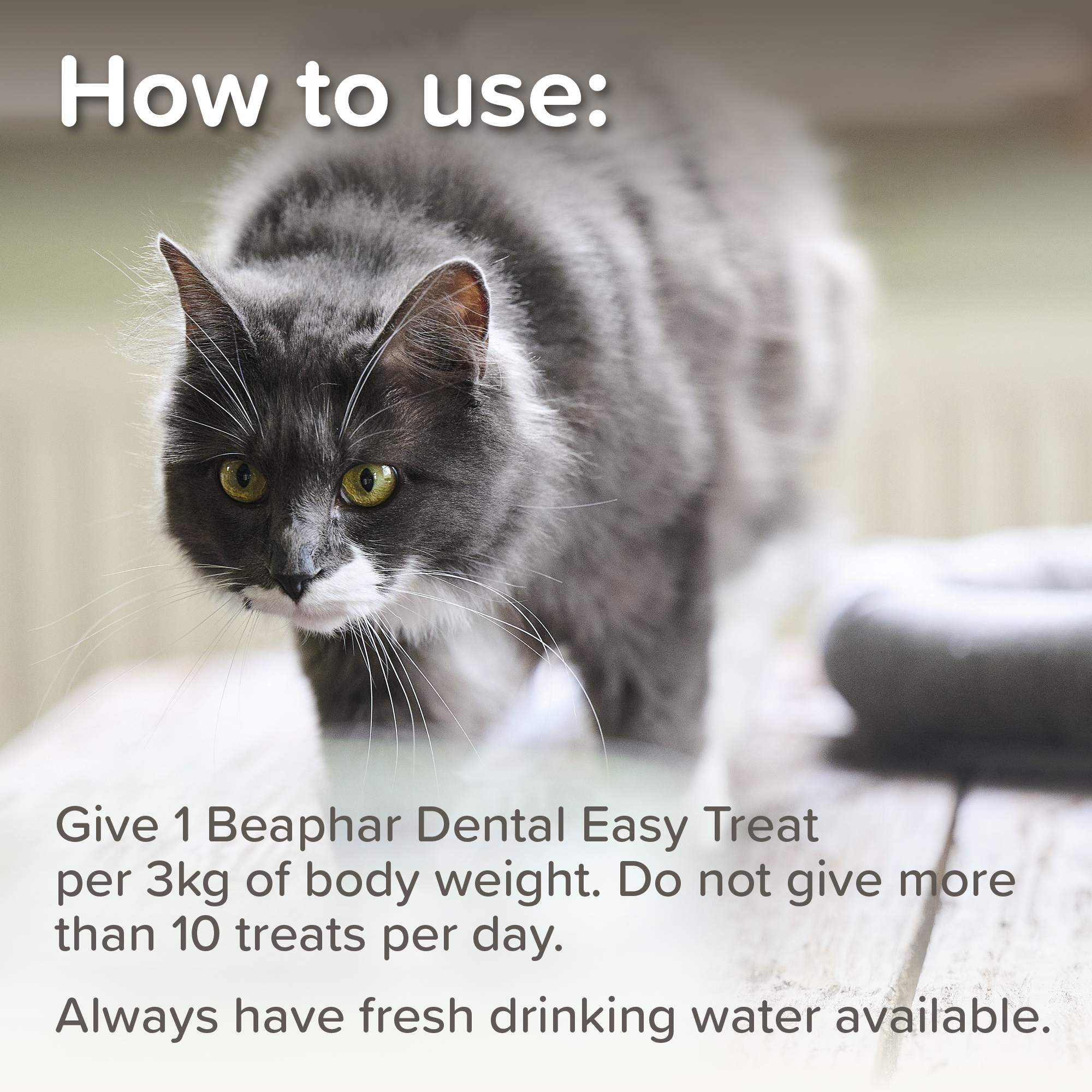 Beaphar Dental Easy Treats for Cats, 35g (75 treats approx.)