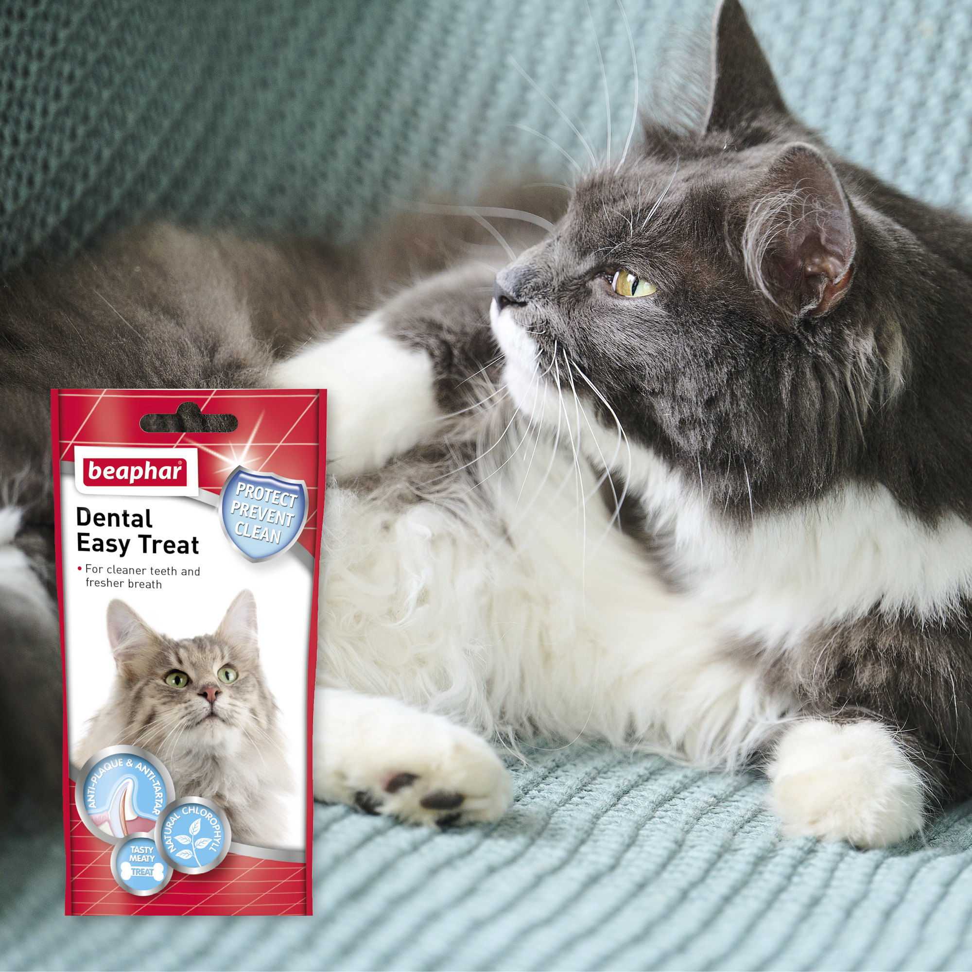 Beaphar Dental Easy Treats for Cats, 35g (75 treats approx.)