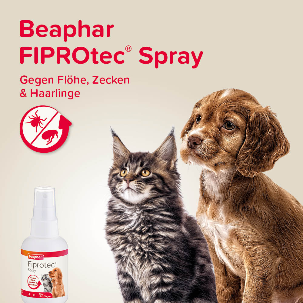 Fiprotec Spray 2,5 mg/ml Spray zur Anwendung auf der Haut