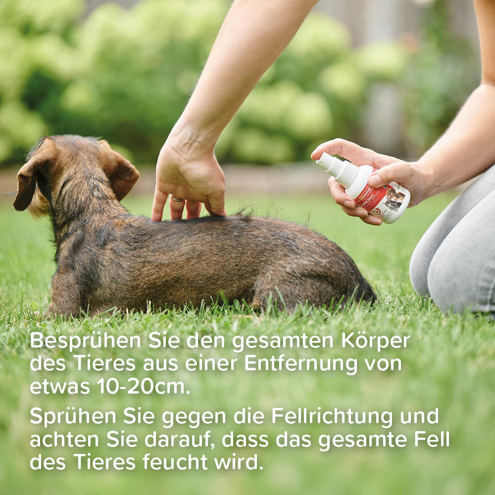 Fiprotec Spray 2,5 mg/ml Spray zur Anwendung auf der Haut