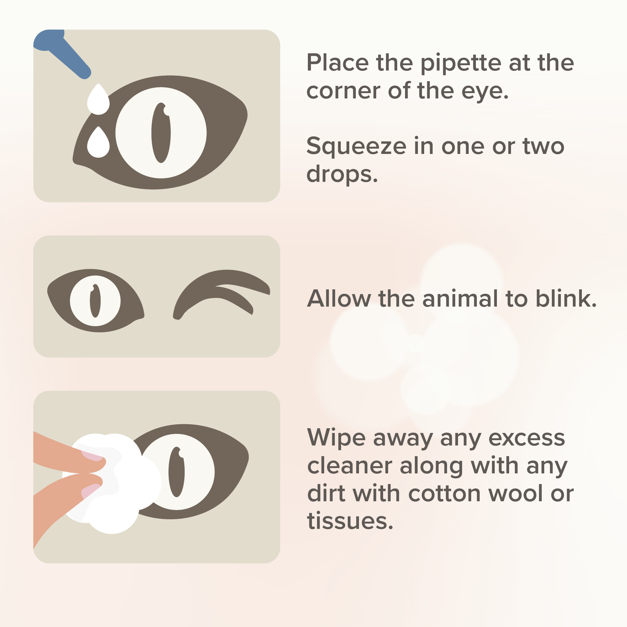 Beaphar Eye Lotion for Cats & Dogs - 50ml