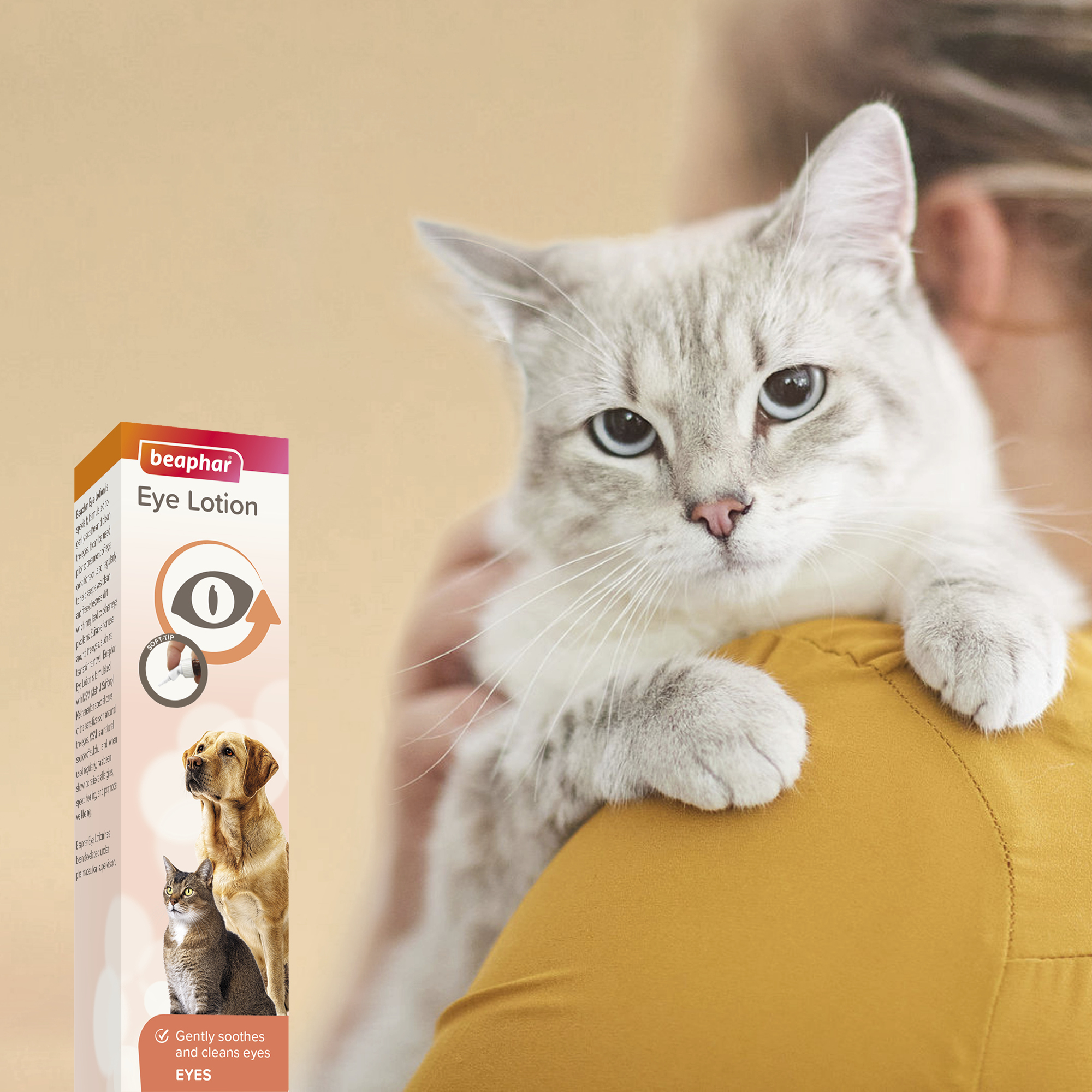 Beaphar Eye Lotion for Cats & Dogs - 50ml