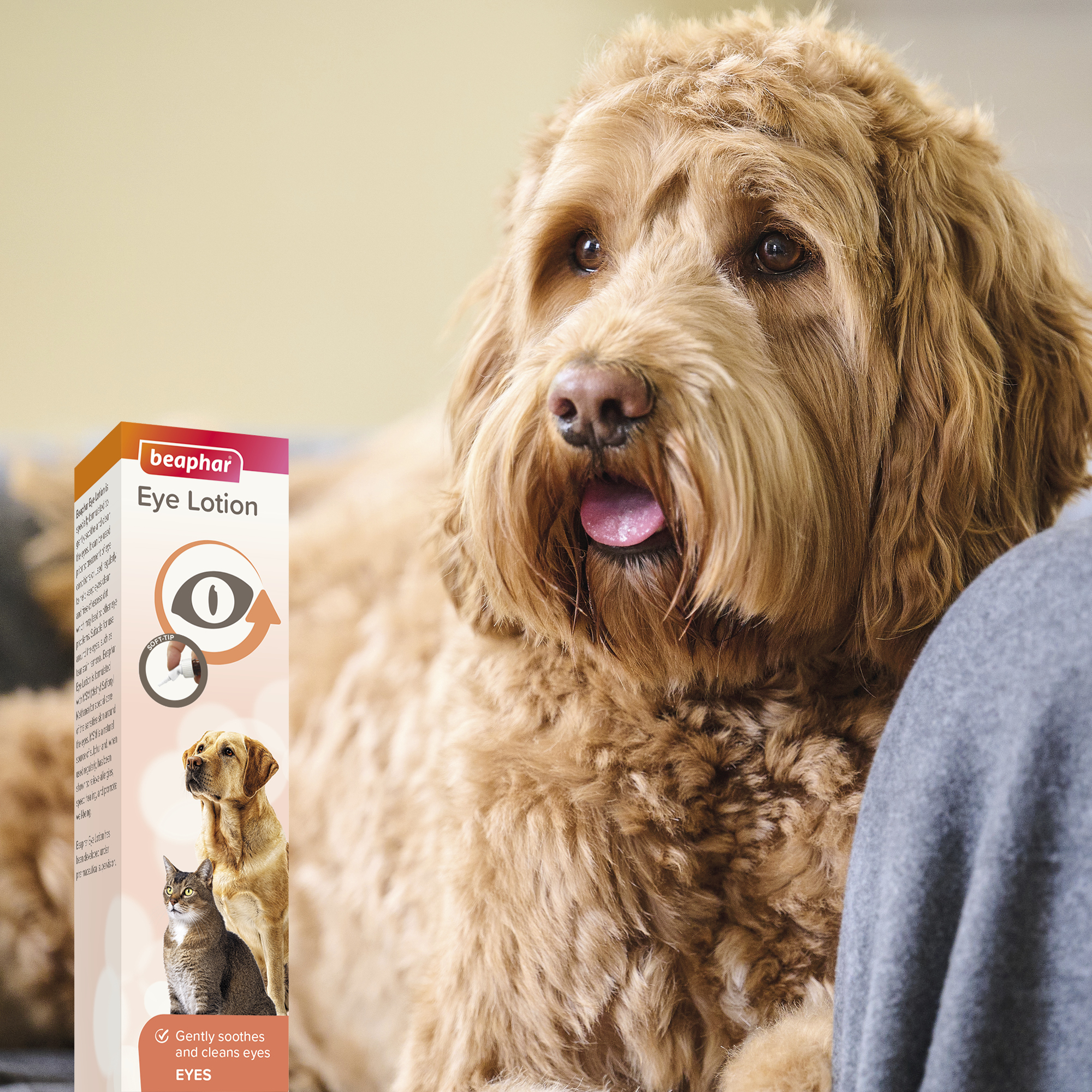 Beaphar Eye Lotion for Cats & Dogs - 50ml