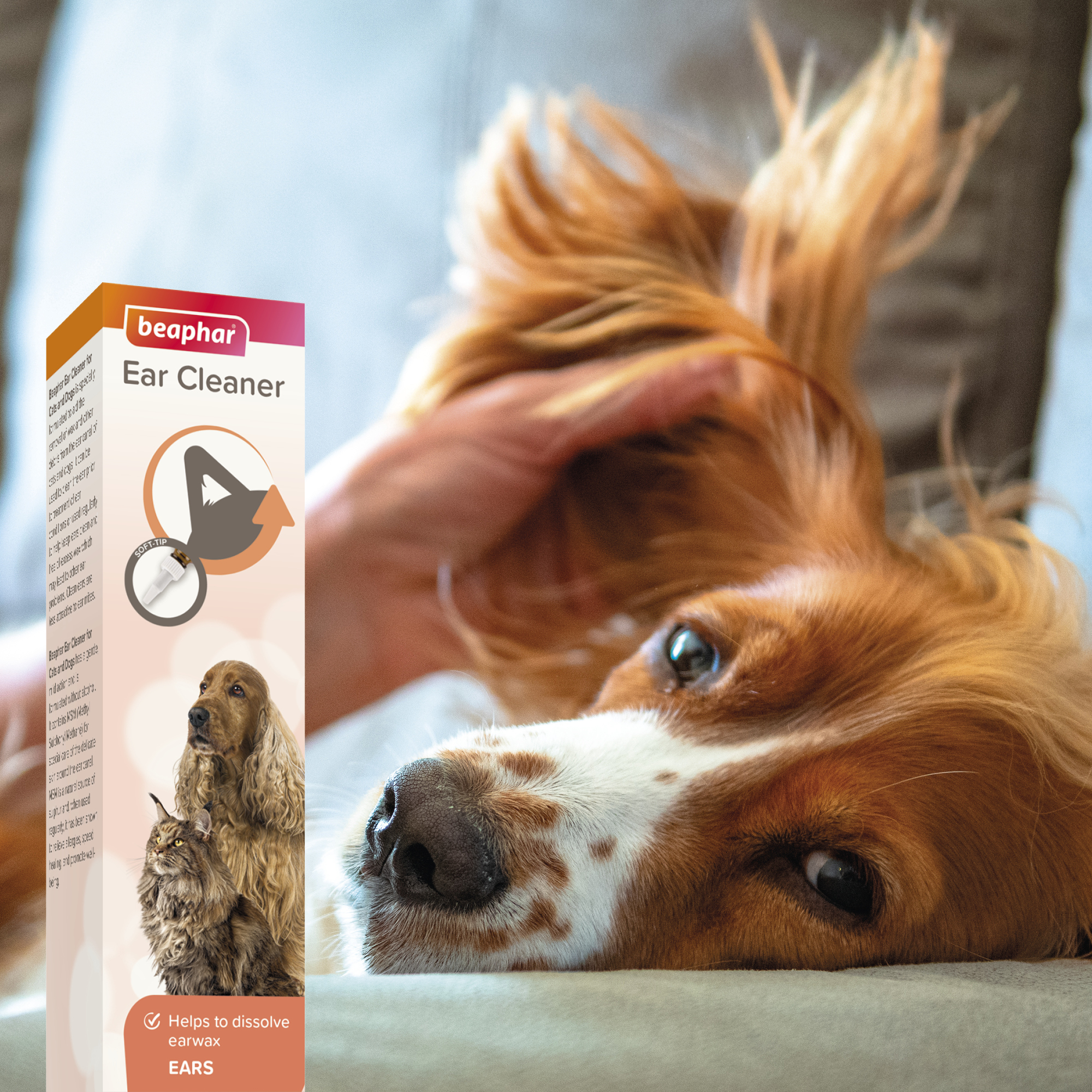 Beaphar Ear Cleaner for Cats & Dogs 50ml