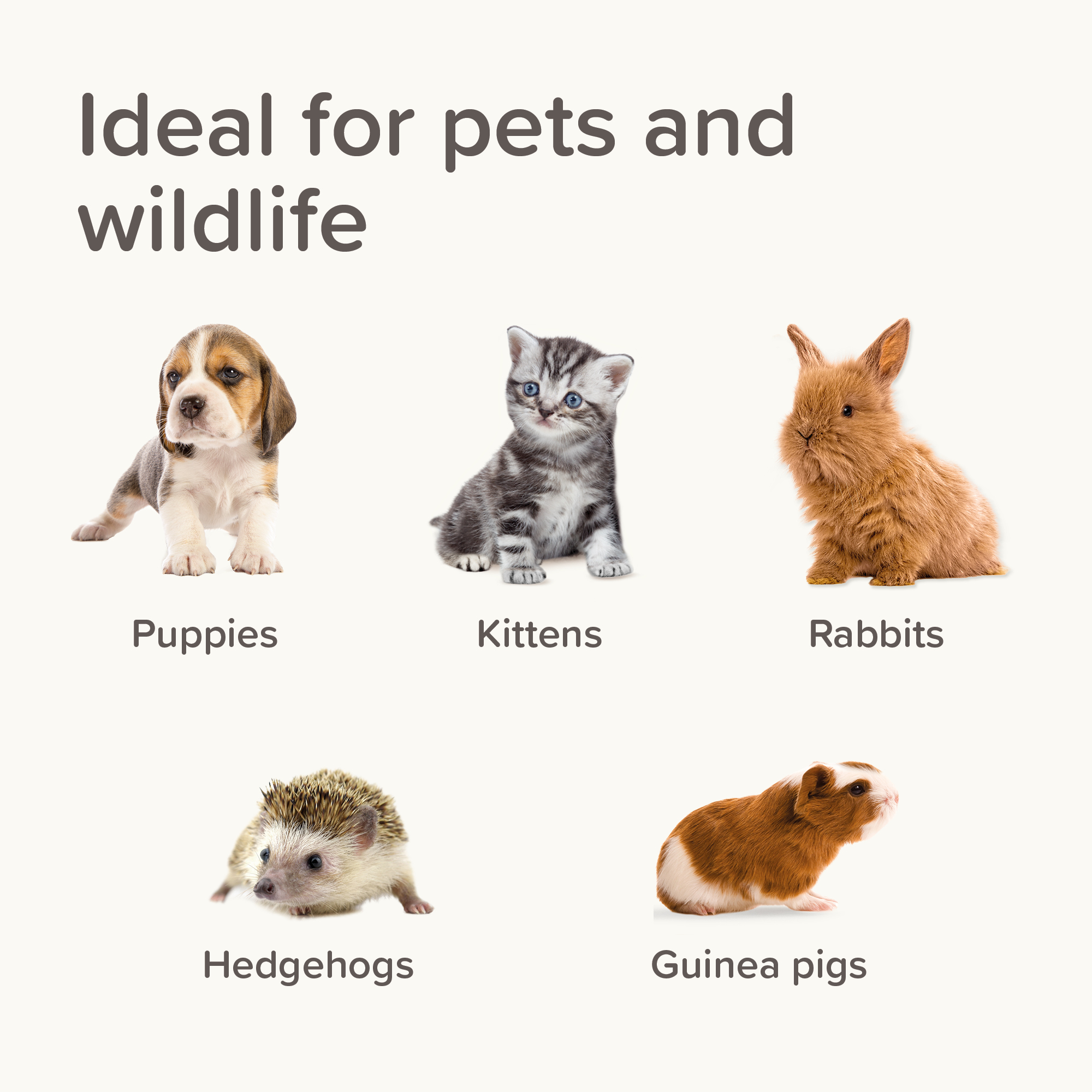 Beaphar Lactol Milk Replacer Feeding Set - Bottle, Teats & Brush for Kittens, Puppies & Small Animals