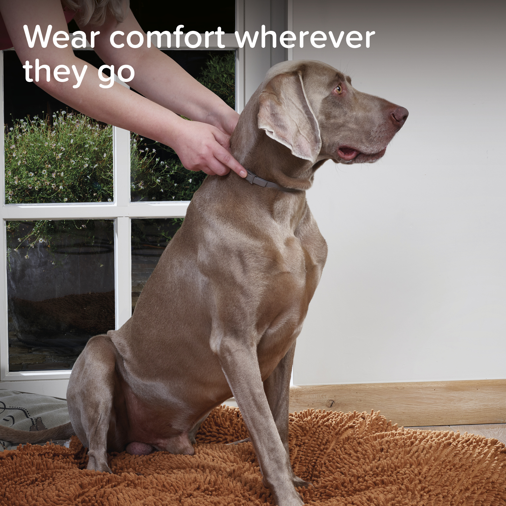 Beaphar CaniComfort® Calming Collar for Adult Dogs