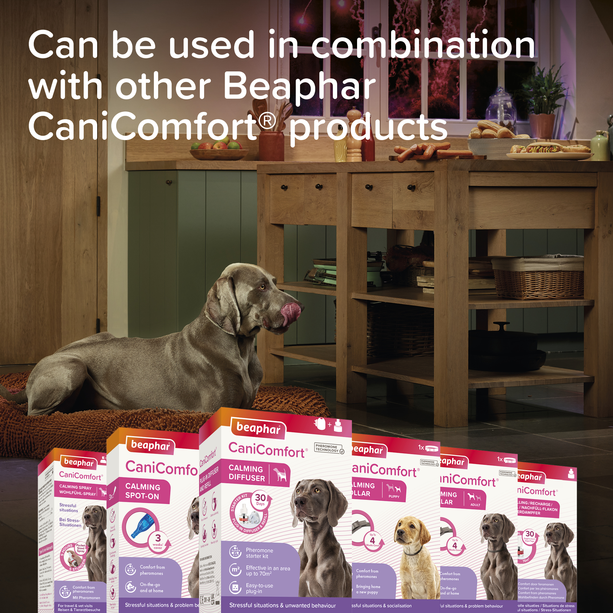 Beaphar CaniComfort® Calming Collar for Adult Dogs