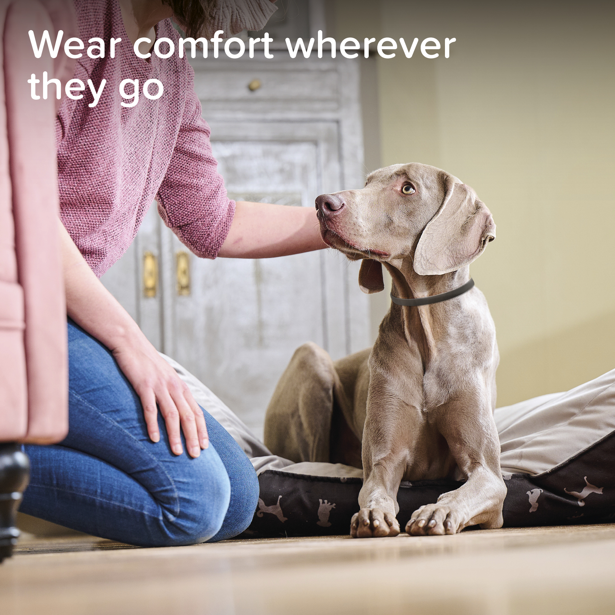 CaniComfort® nyugtató hatású feromonos nyakörv (65 cm)