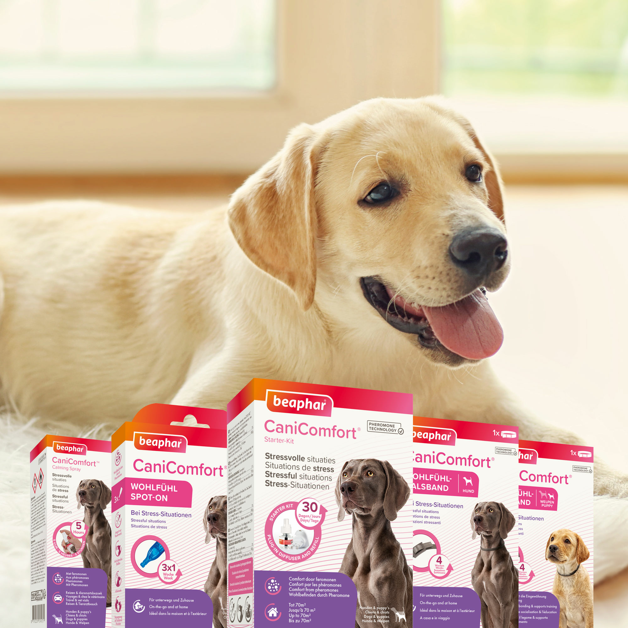 Beaphar CaniComfort® Wohlfühl-Halsband für Welpen, 45cm