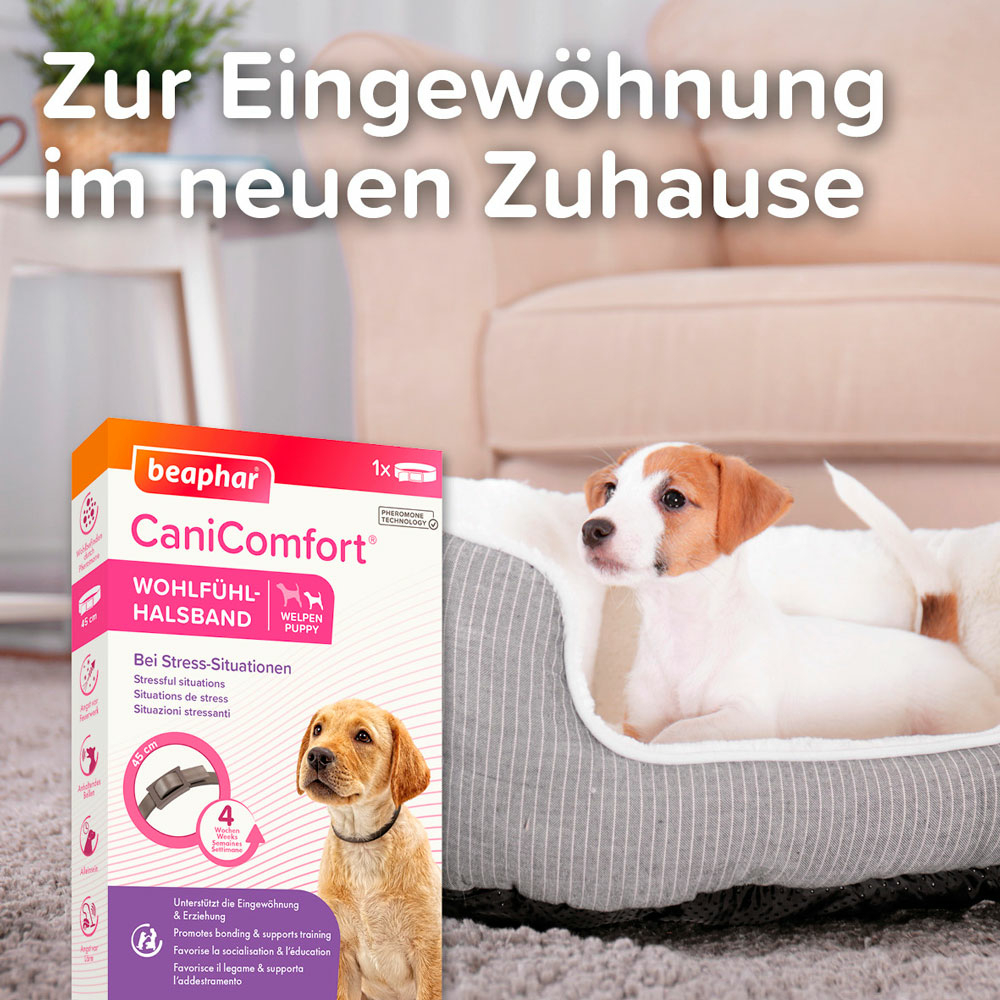 Beaphar CaniComfort® Wohlfühl-Halsband für Welpen, 45cm