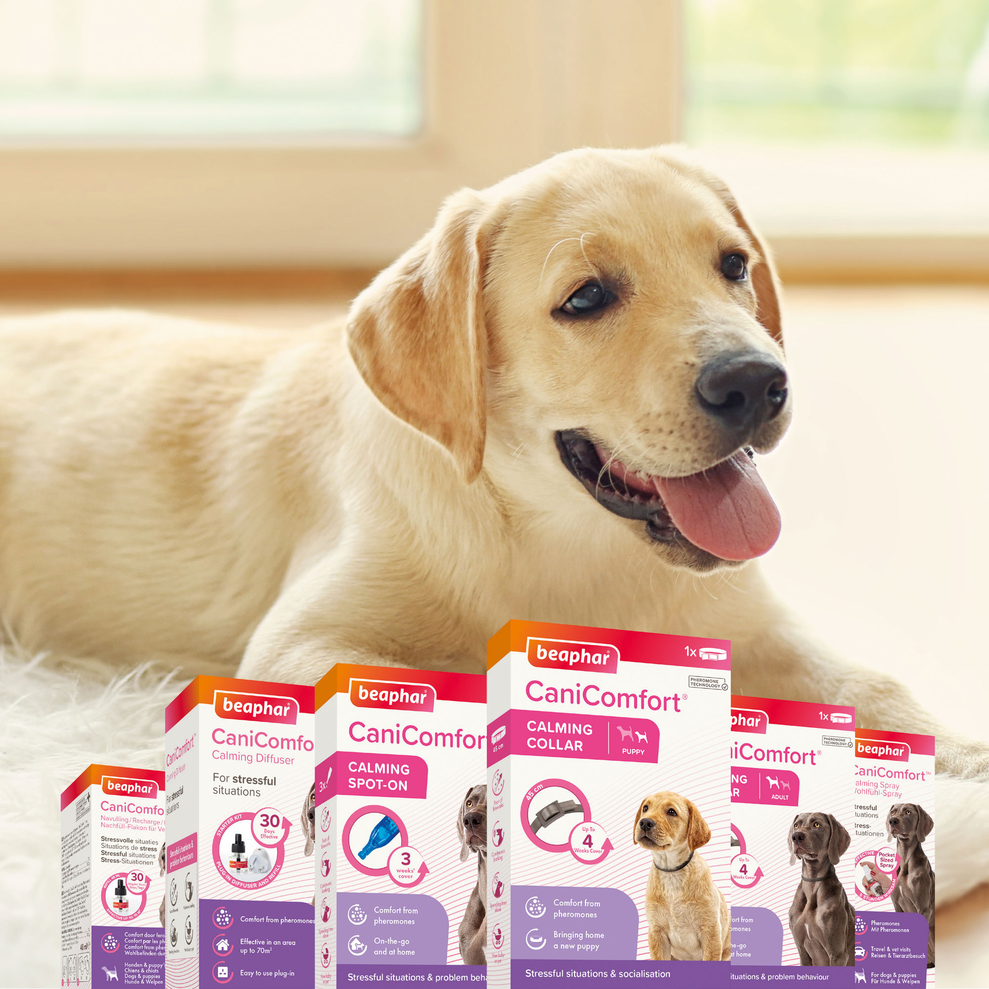 CaniComfort® nyugtató hatású feromonos nyakörv kölyök vagy kistestű kutyáknak (45 cm)