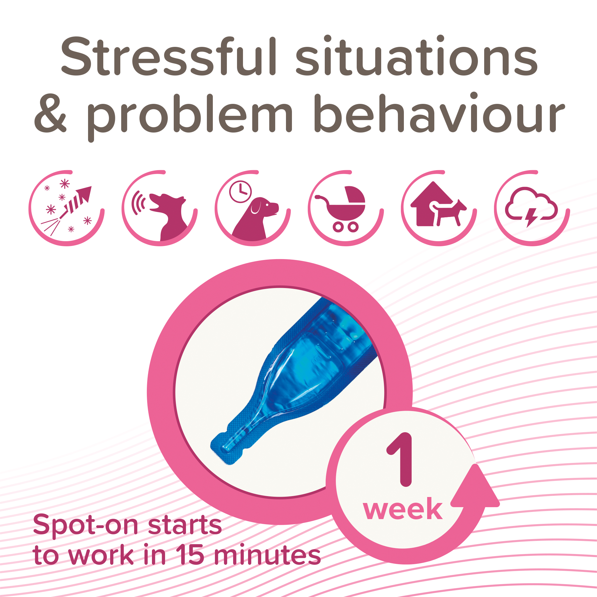 CaniComfort® nyugtató hatású feromonos spot-on