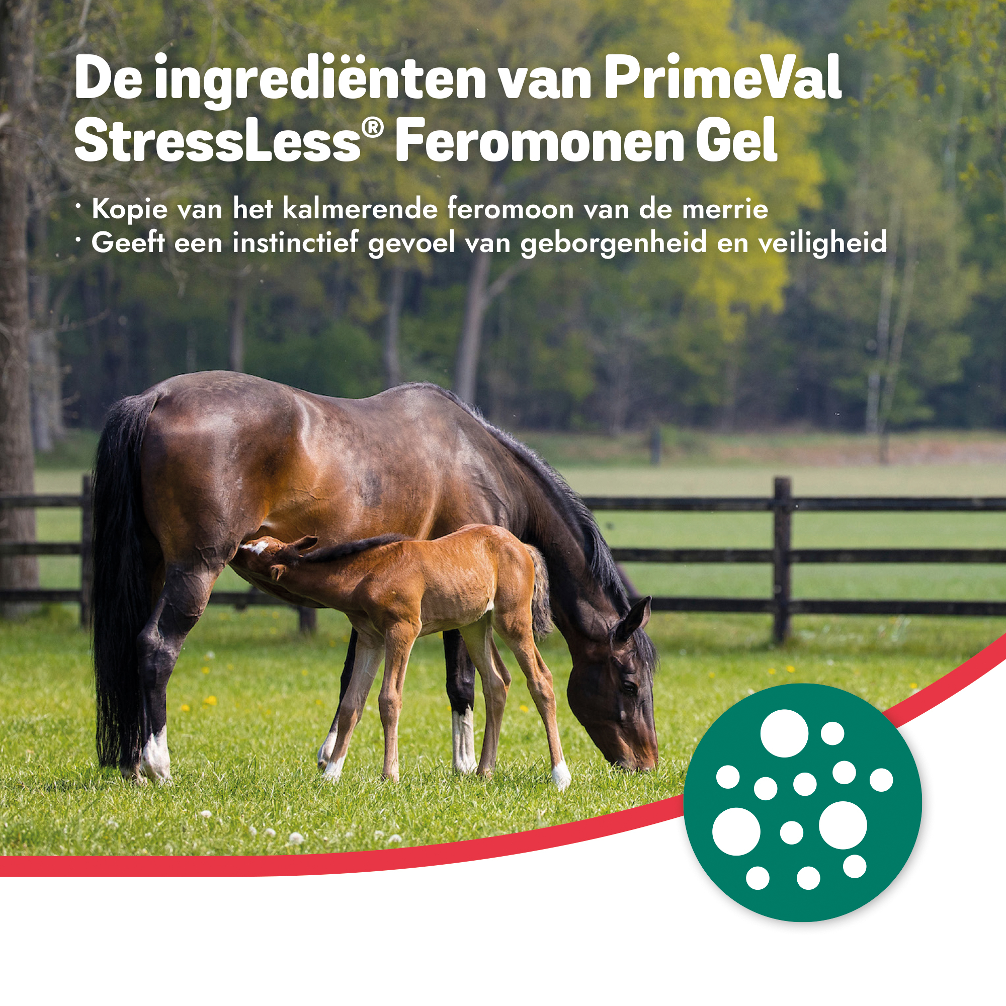 PrimeVal StressLess Feromonen Gel 10 x 5ml