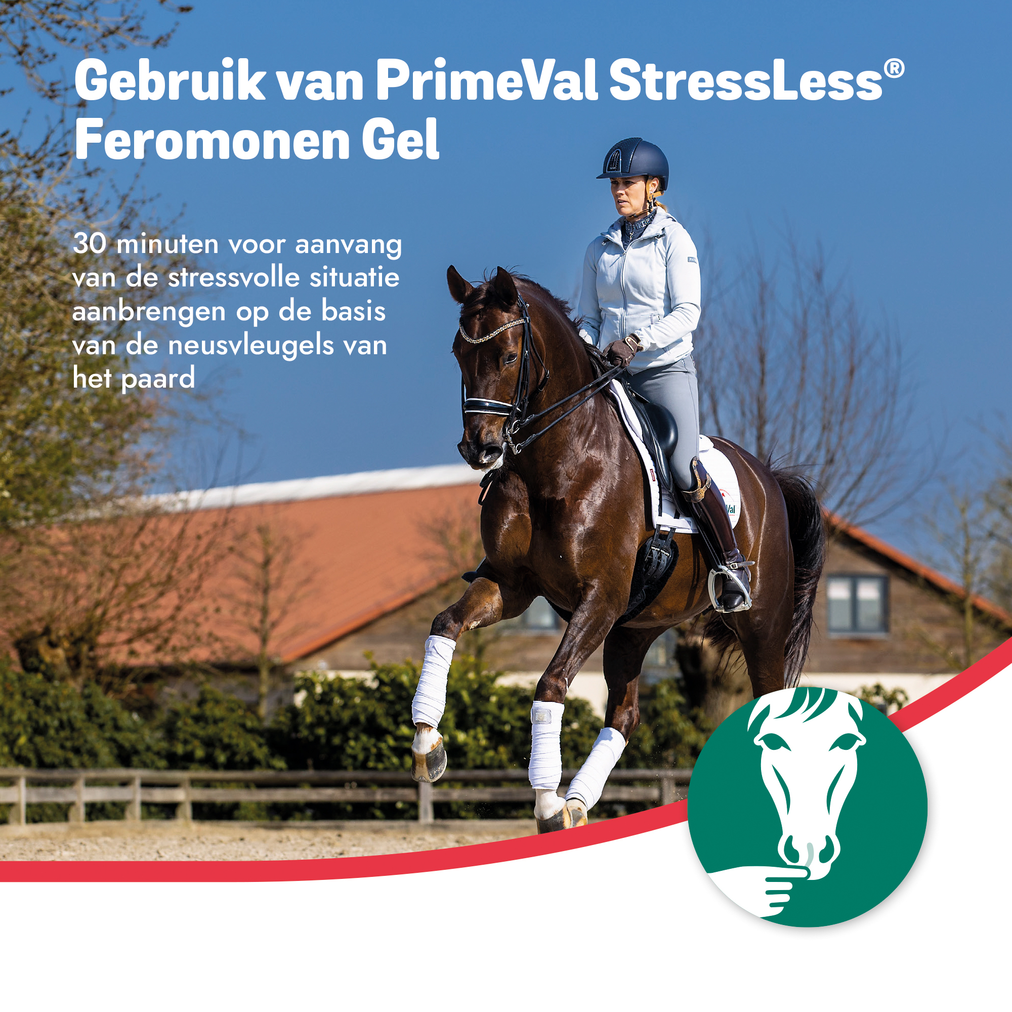 PrimeVal StressLess Feromonen Gel 10 x 5ml