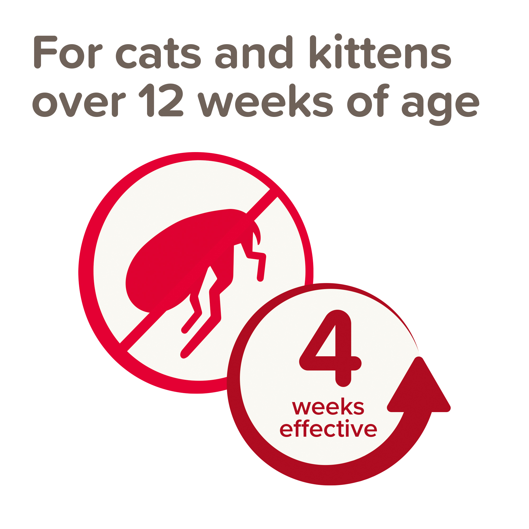 Beaphar Flea Repels Spoton for Cats Beaphar