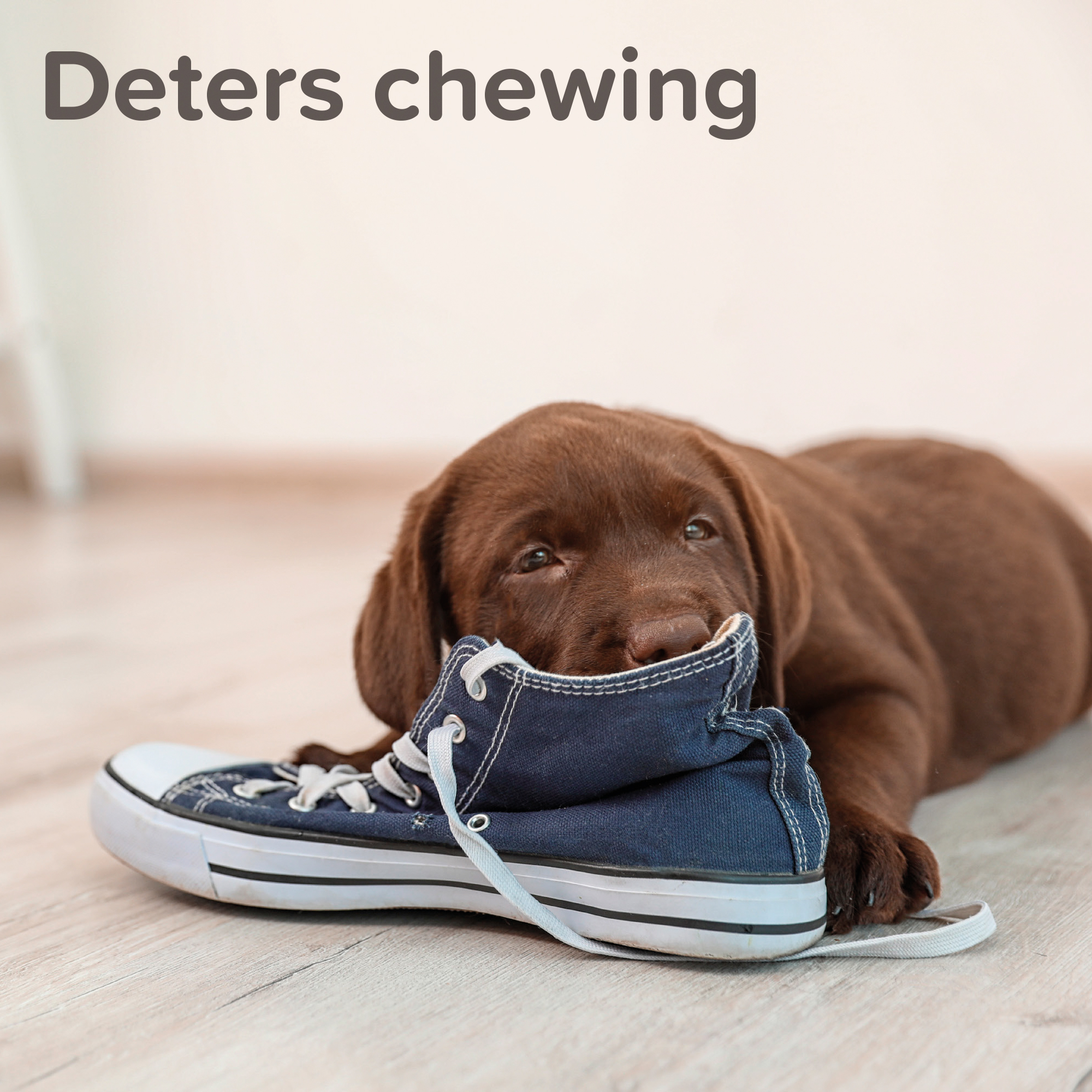 Beltéri nevelő spray