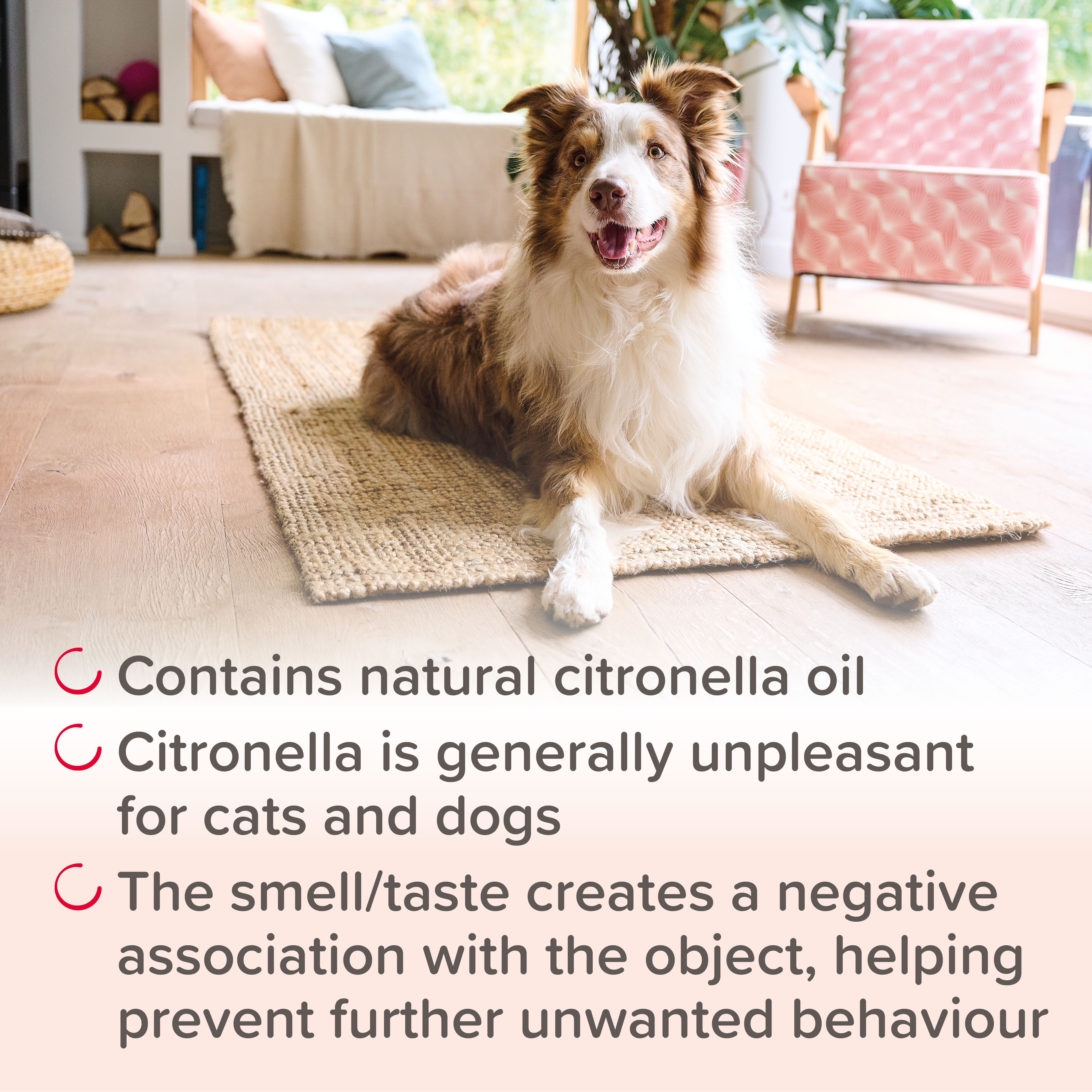 Beaphar STOP IT Pet Behave Spray, 125ml