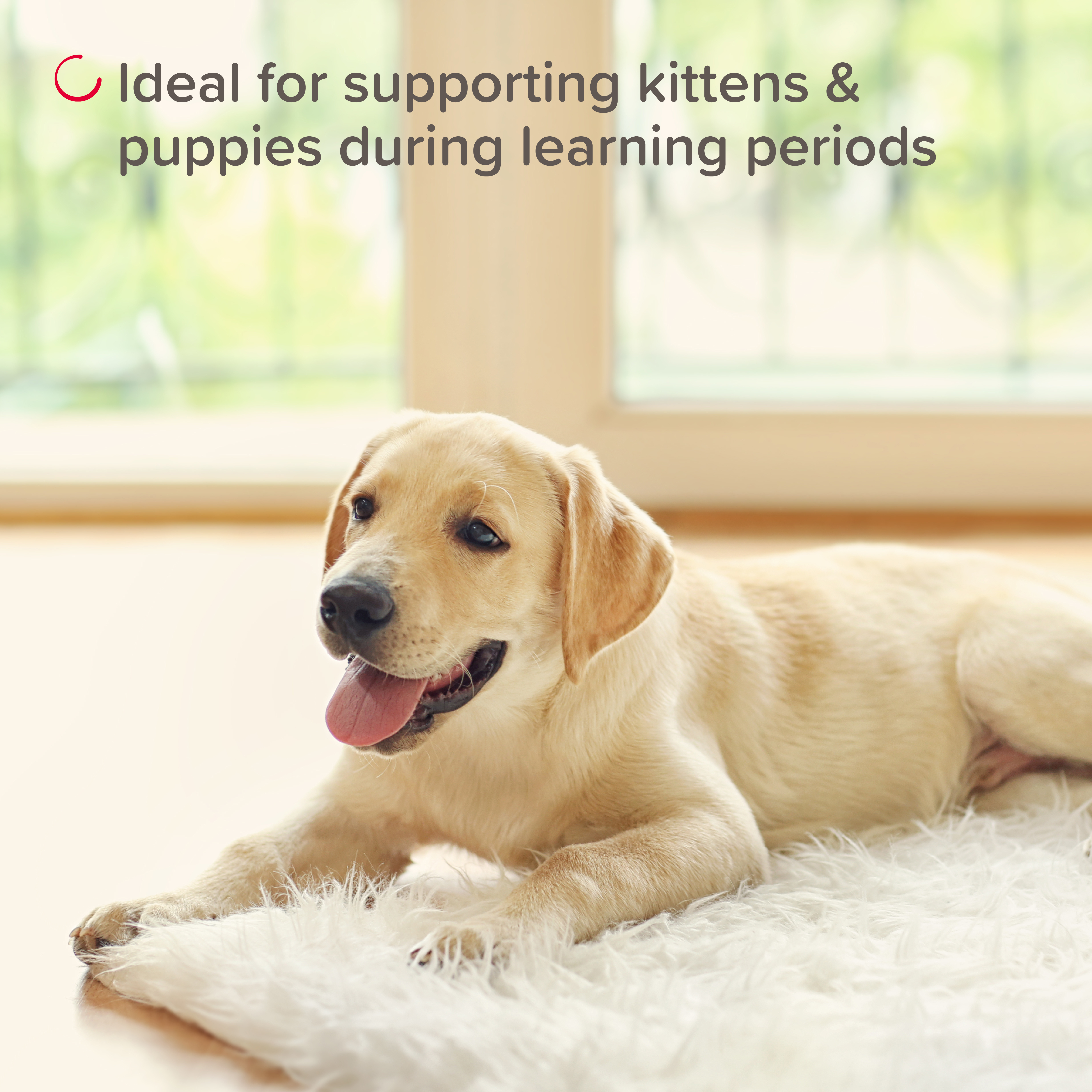 Beaphar STOP IT Pet Behave Spray, 125ml