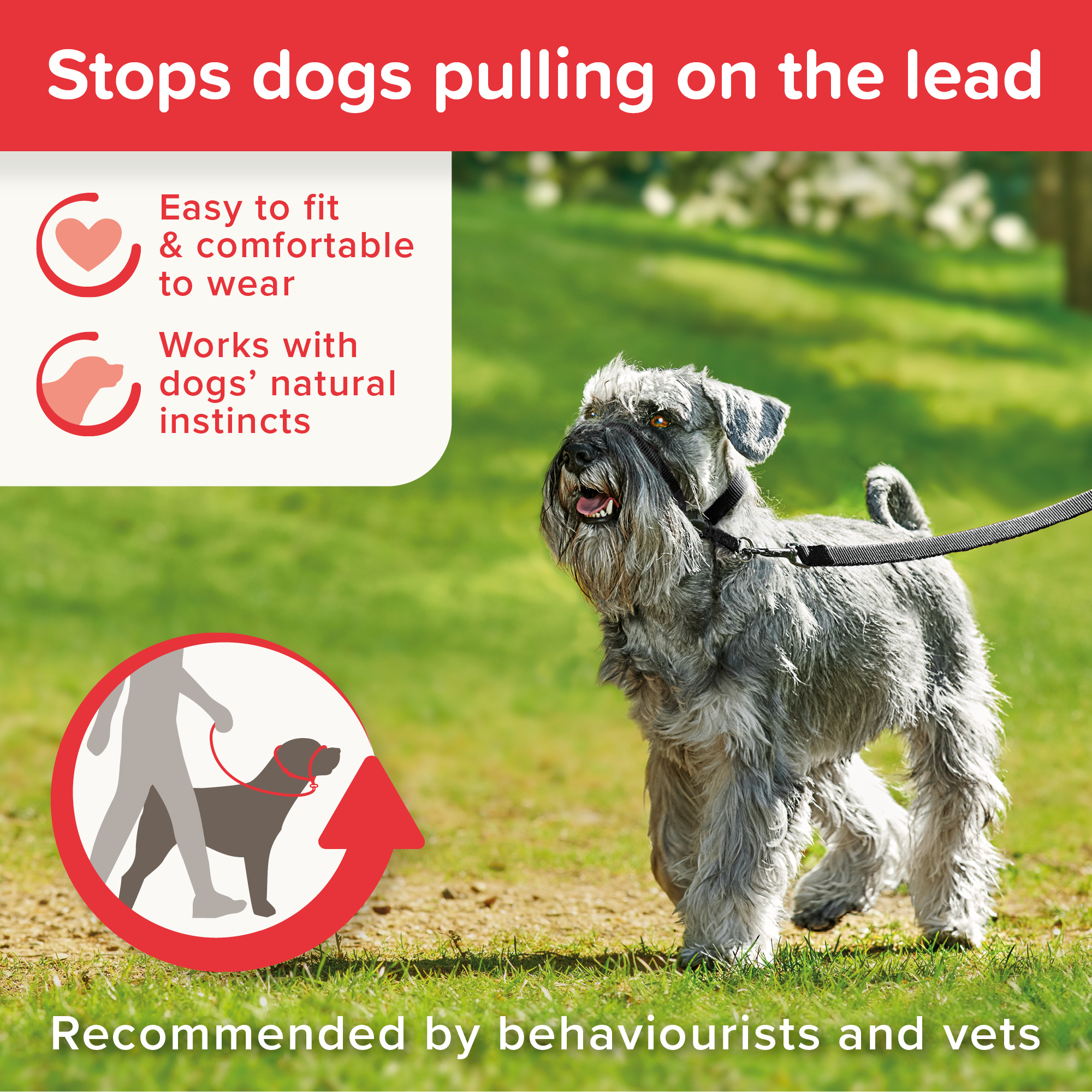 Beaphar Gentle Leader® Black Head Collar for Small Dogs