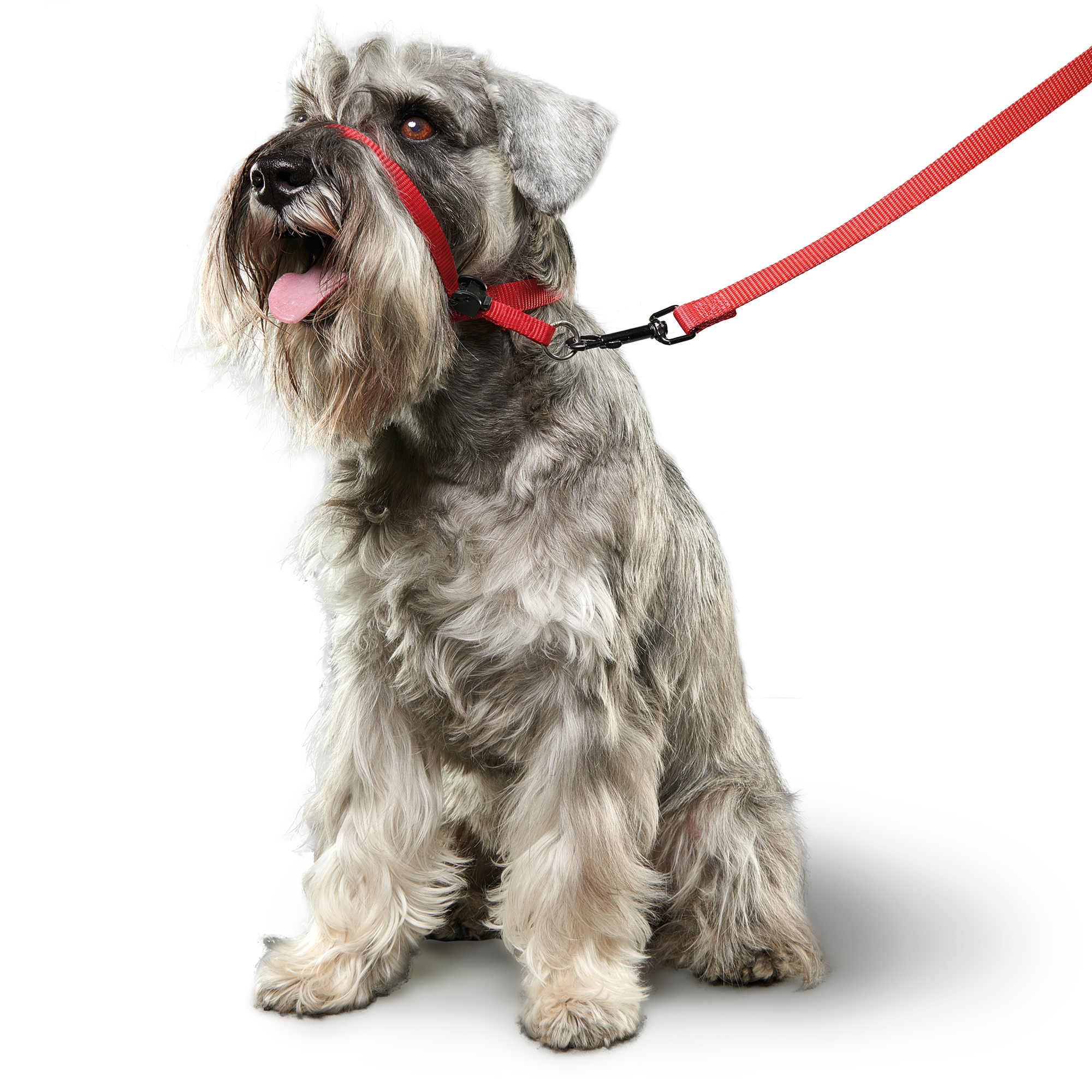 Beaphar Gentle Leader® Red Head Collar for Small Dogs