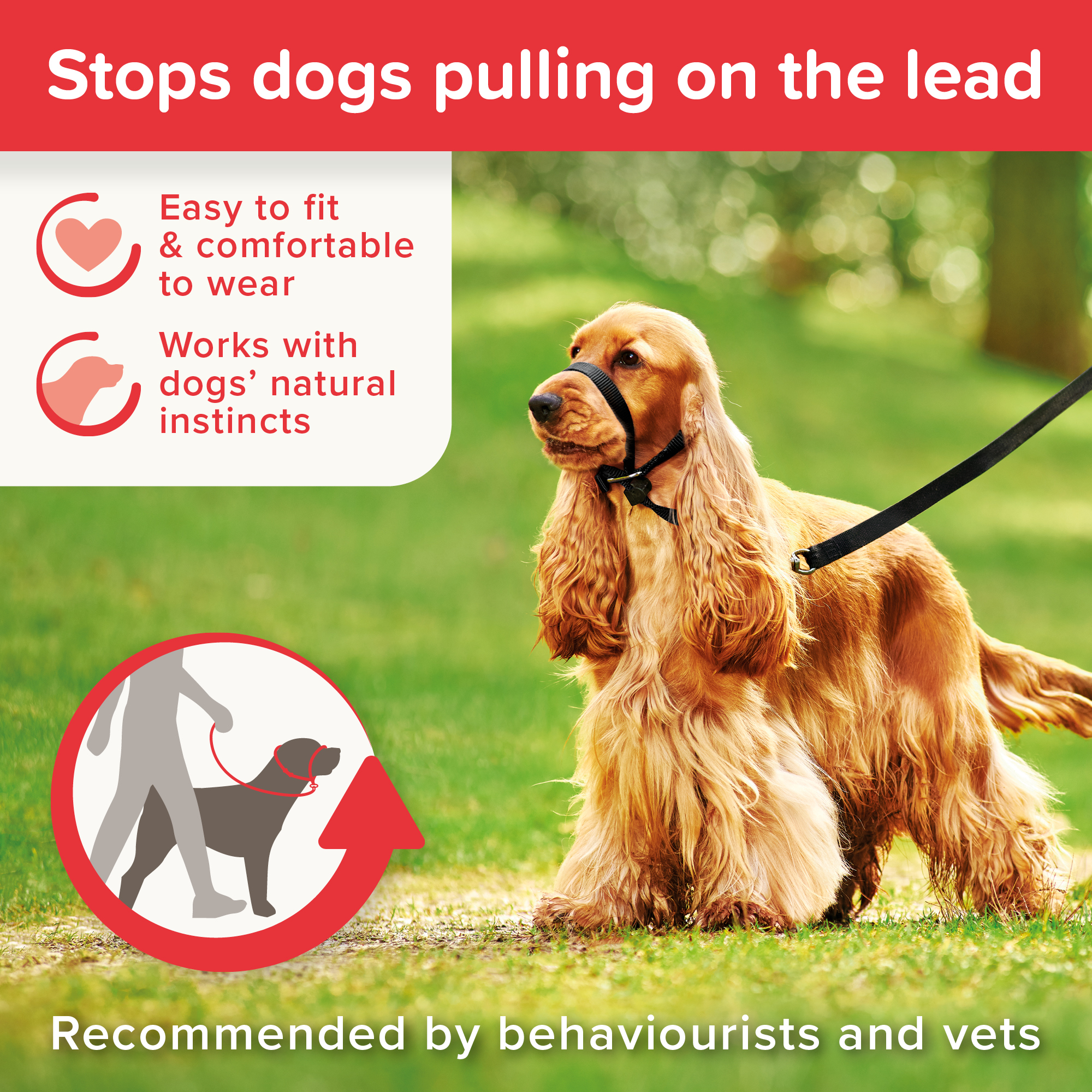 Beaphar Gentle Leader® Black Head Collar for Medium Dogs