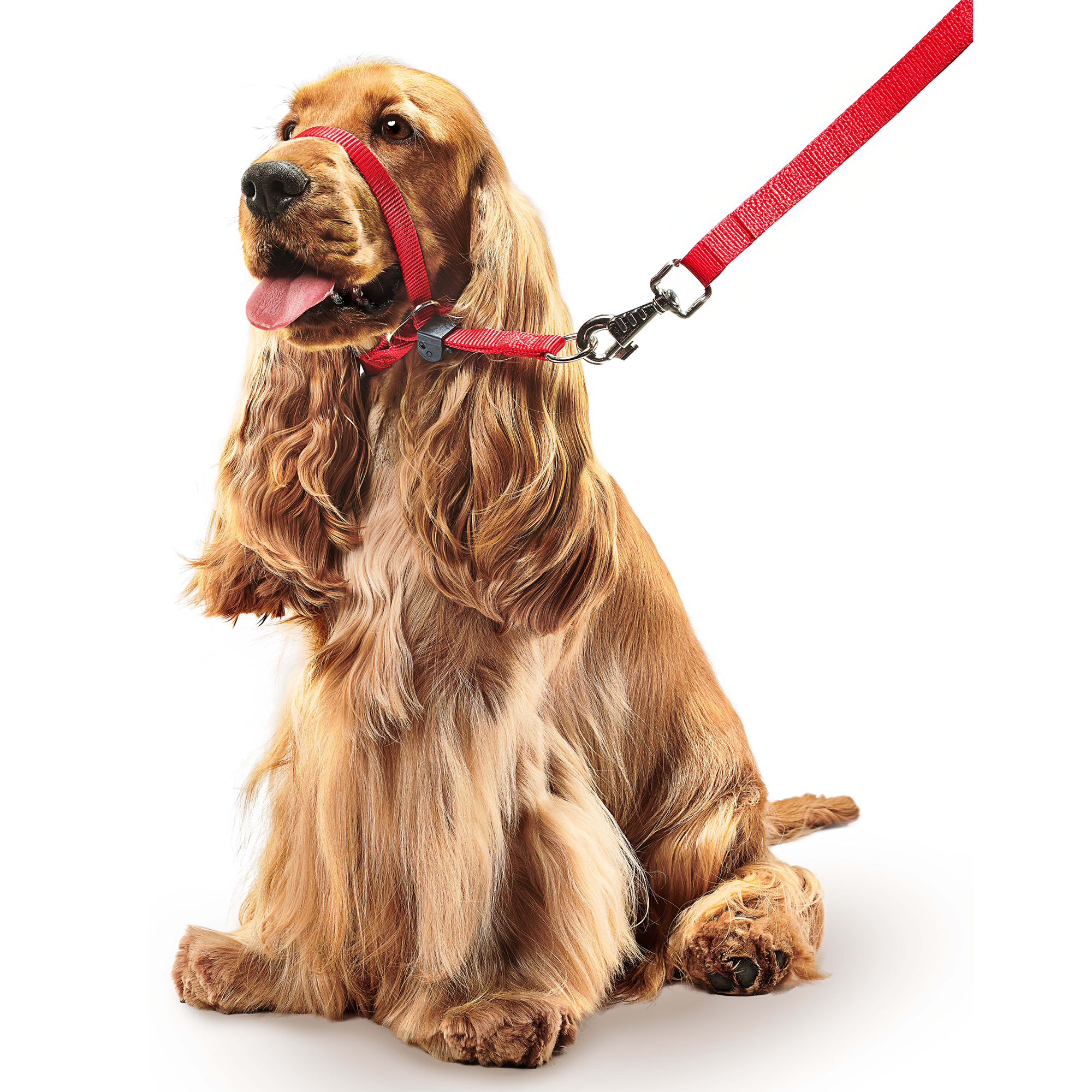 Beaphar Gentle Leader® Red Head Collar for Medium Dogs