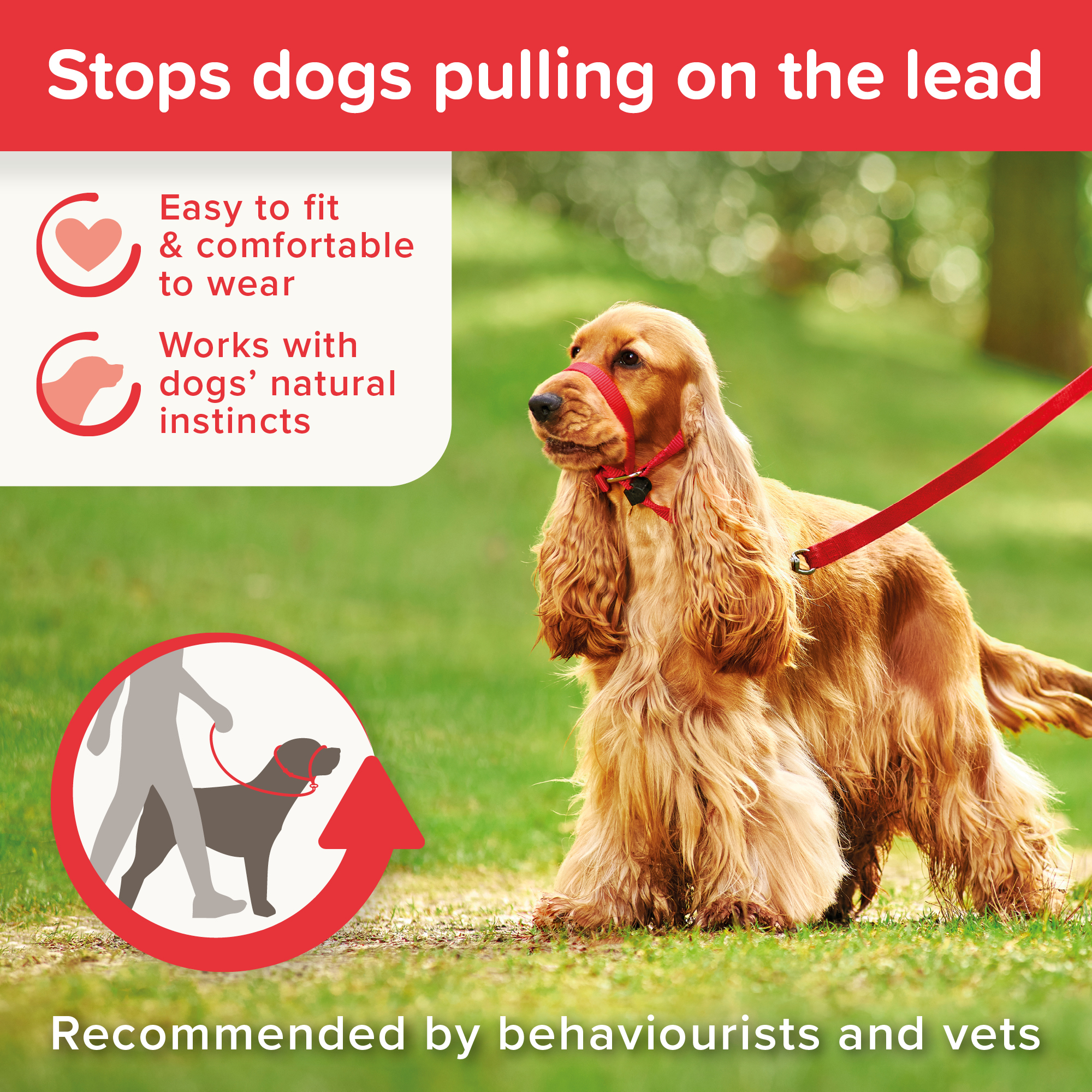 Beaphar Gentle Leader® Red Head Collar for Medium Dogs