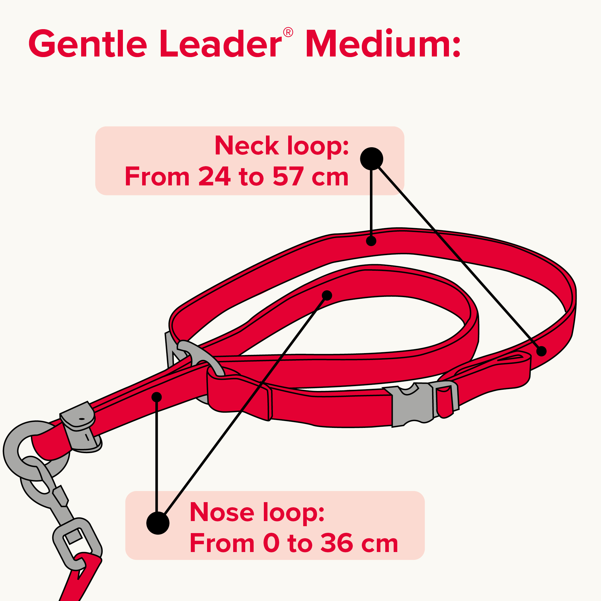 Beaphar Gentle Leader® Red Head Collar for Medium Dogs
