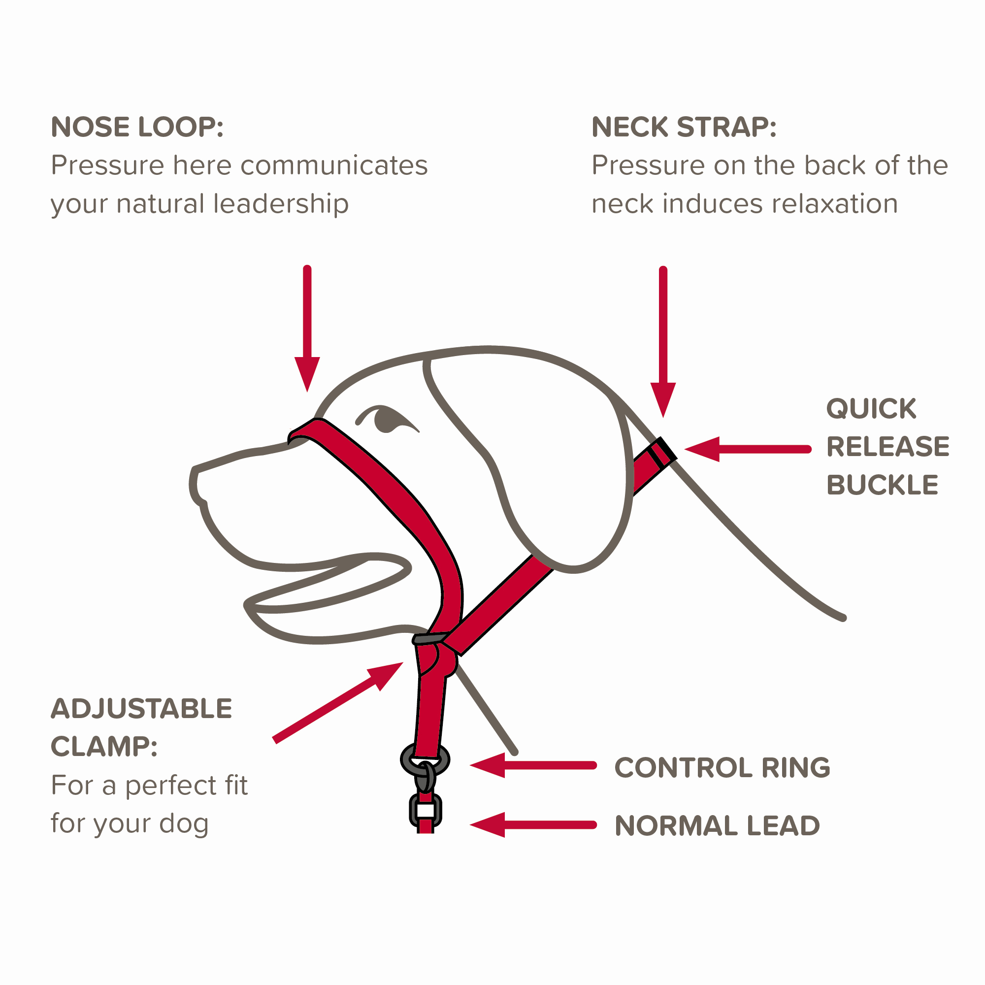 Beaphar Gentle Leader® Black Head Collar for Large Dogs Beaphar