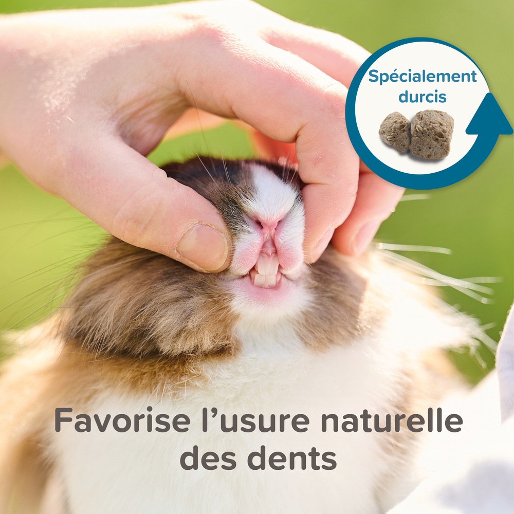 Care +, Alimentation extrudée super premium Hamster - 750 g