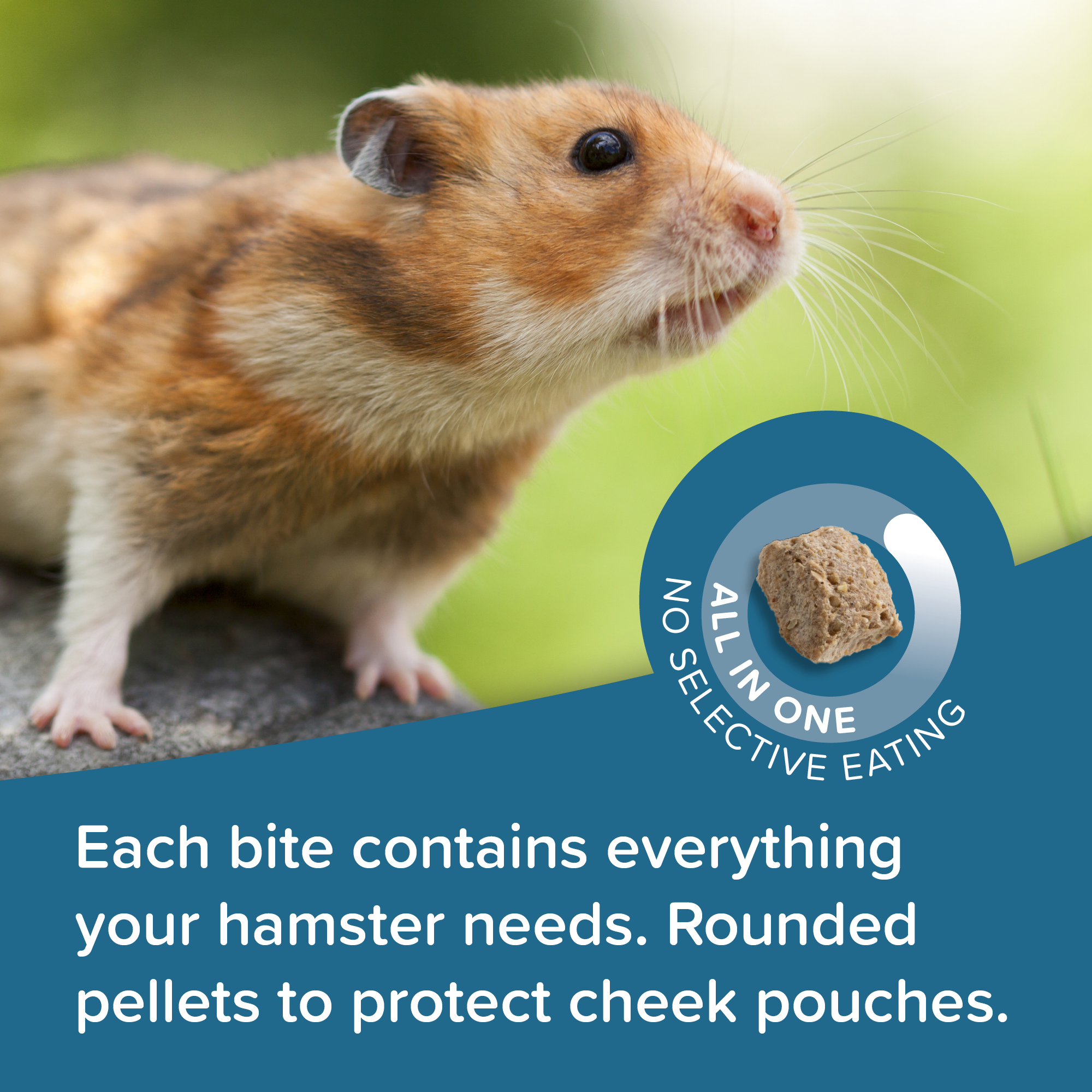 Beaphar CARE+ Hamsteri 700g