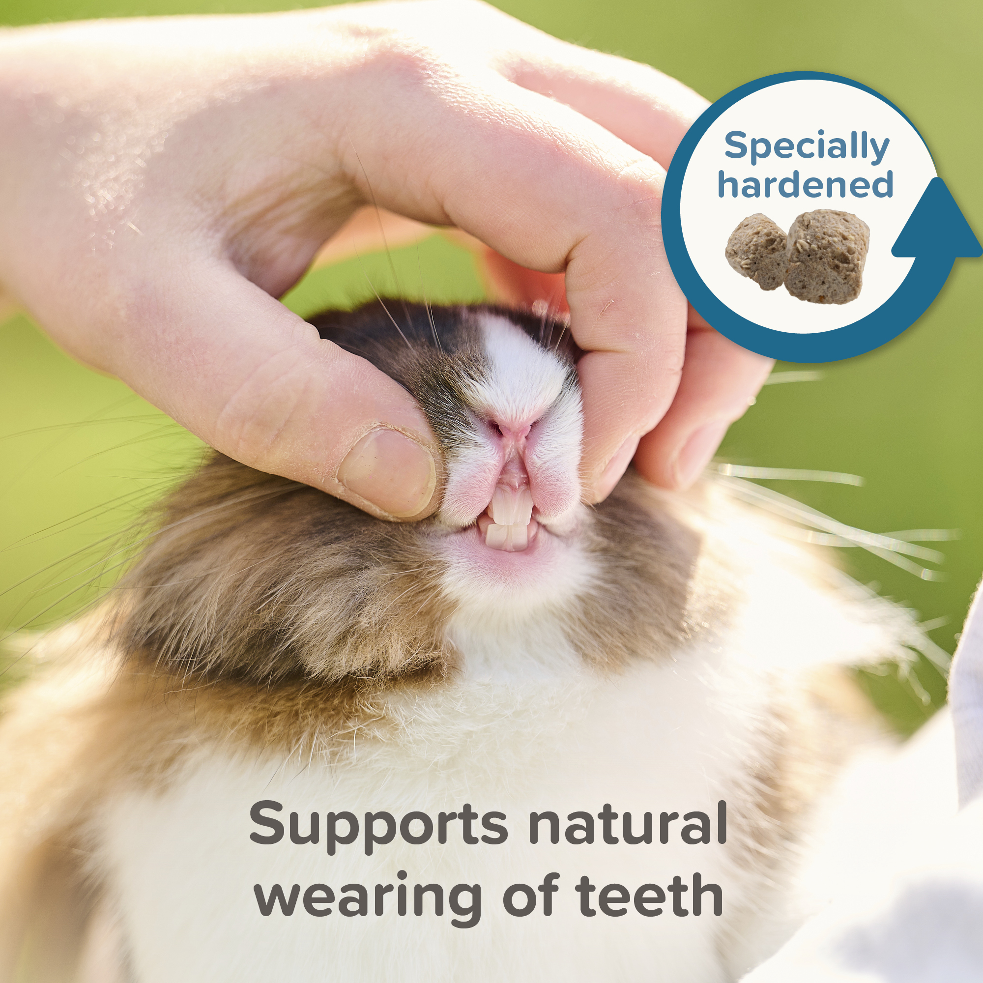 Beaphar CARE+ Hamsteri 700g