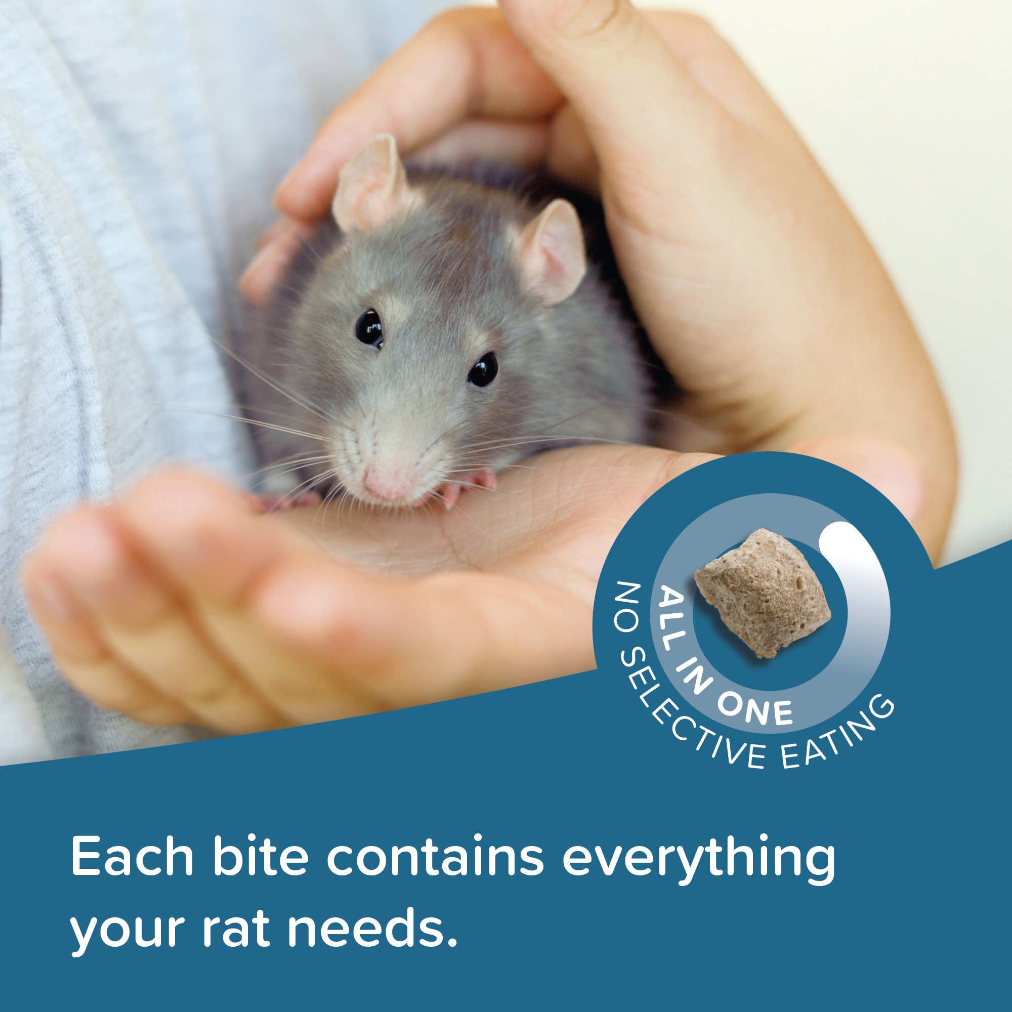 Beaphar CARE+® Food for Rats
