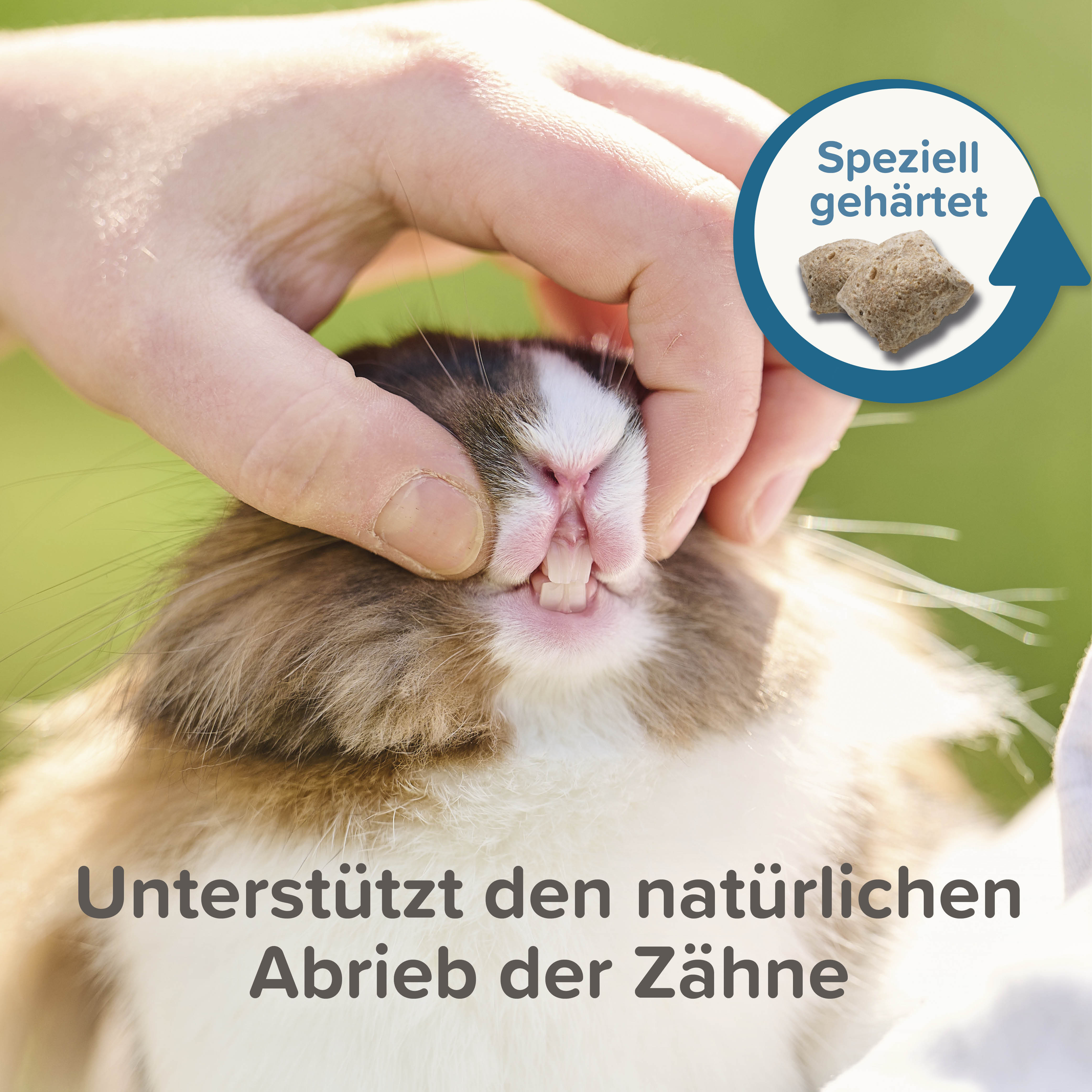 Beaphar Care+ Ratte, 750g