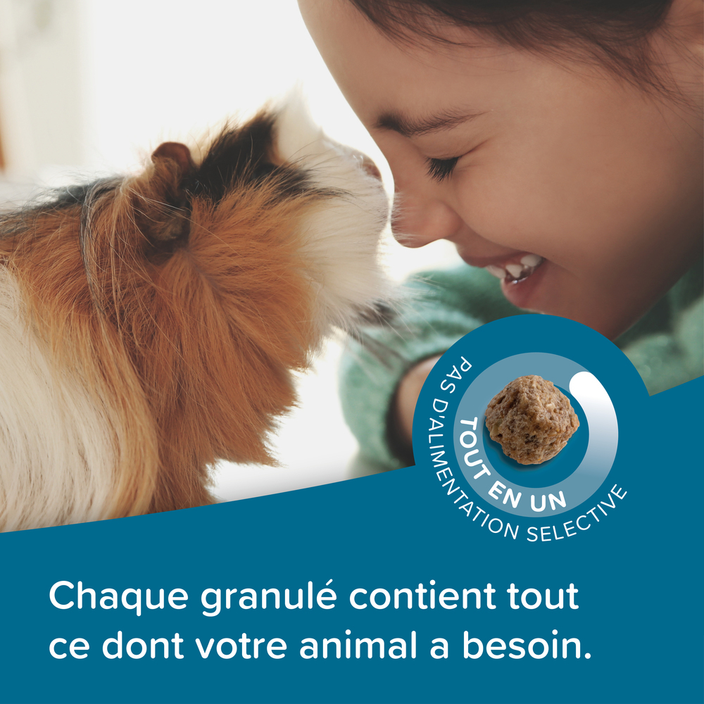 Care +, Alimentation extrudée super premium, Cochon d’Inde