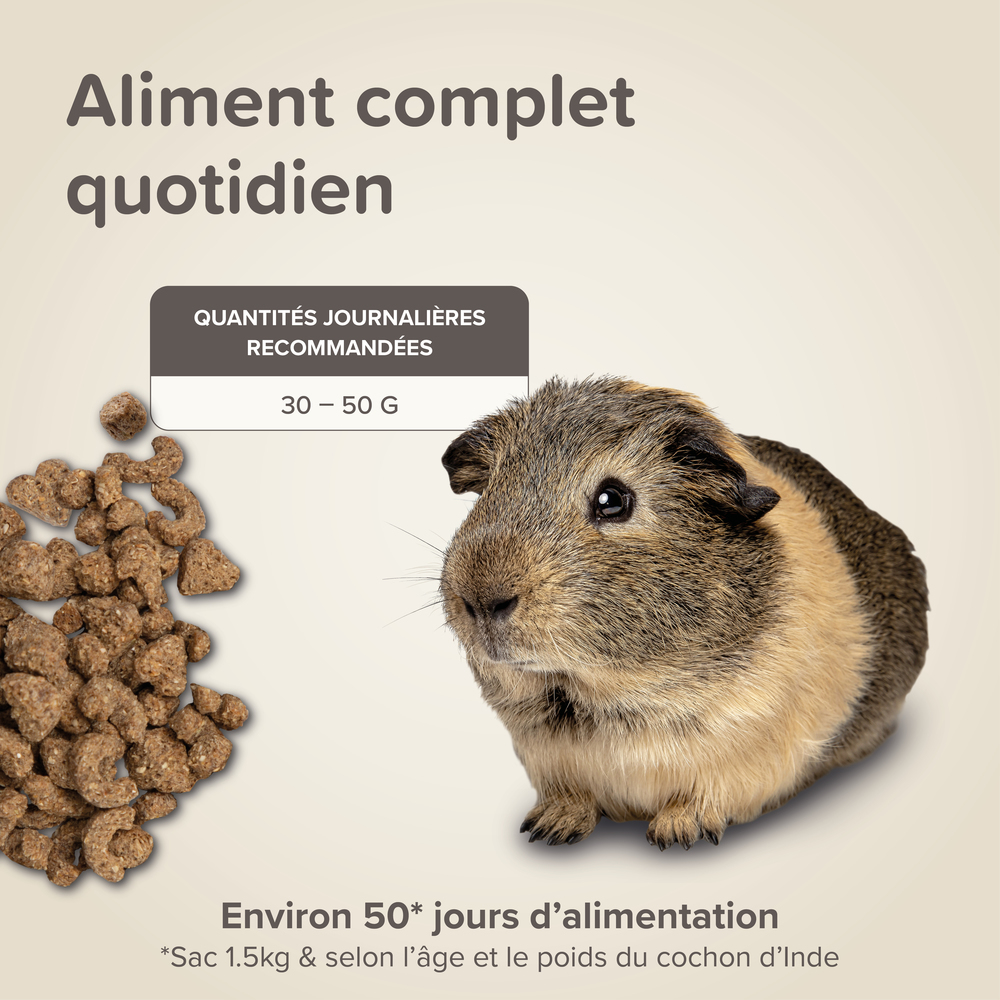 Care +, Alimentation extrudée super premium, Cochon d’Inde