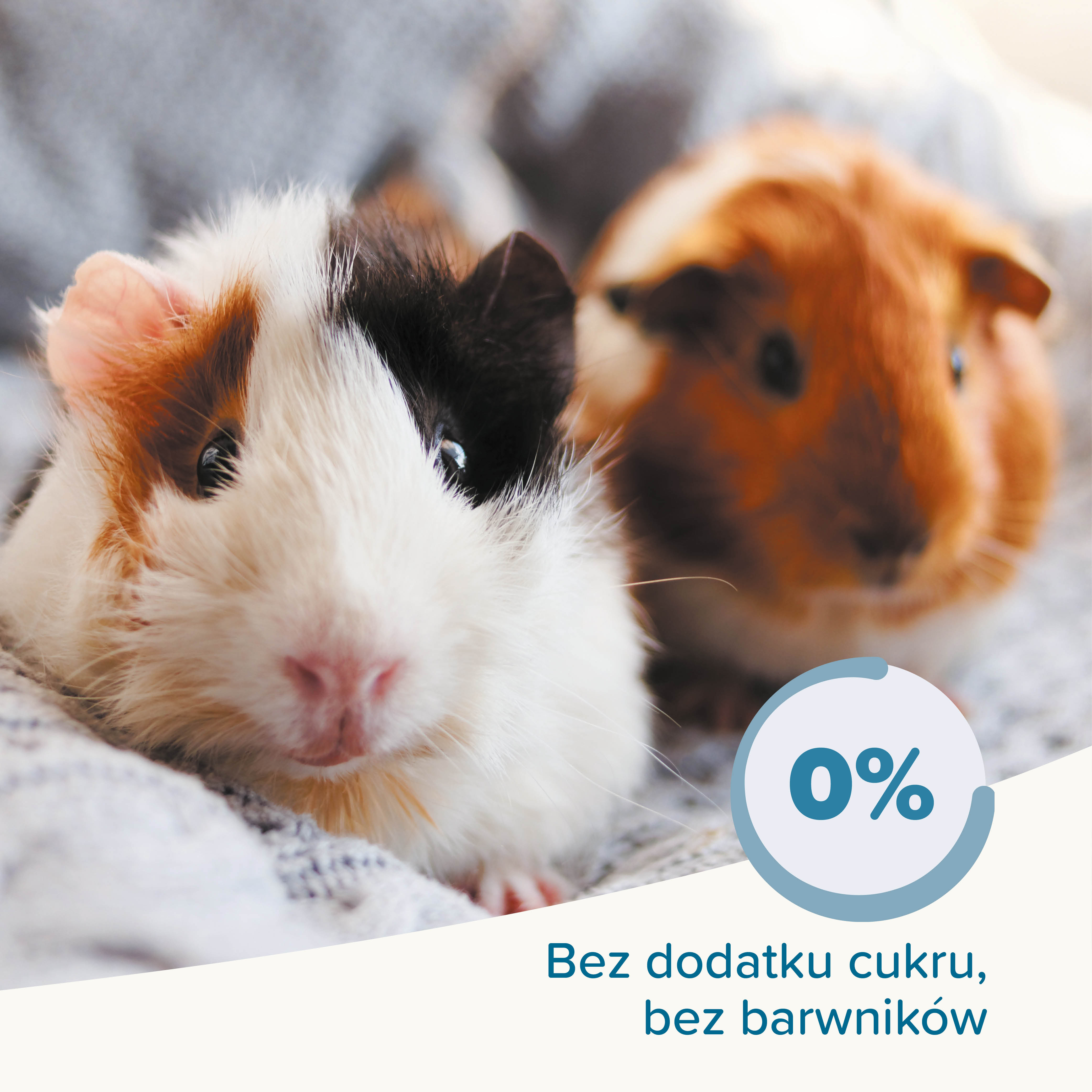 CARE+ GUINEA PIG 1,5KG - karma dla świnek morskich