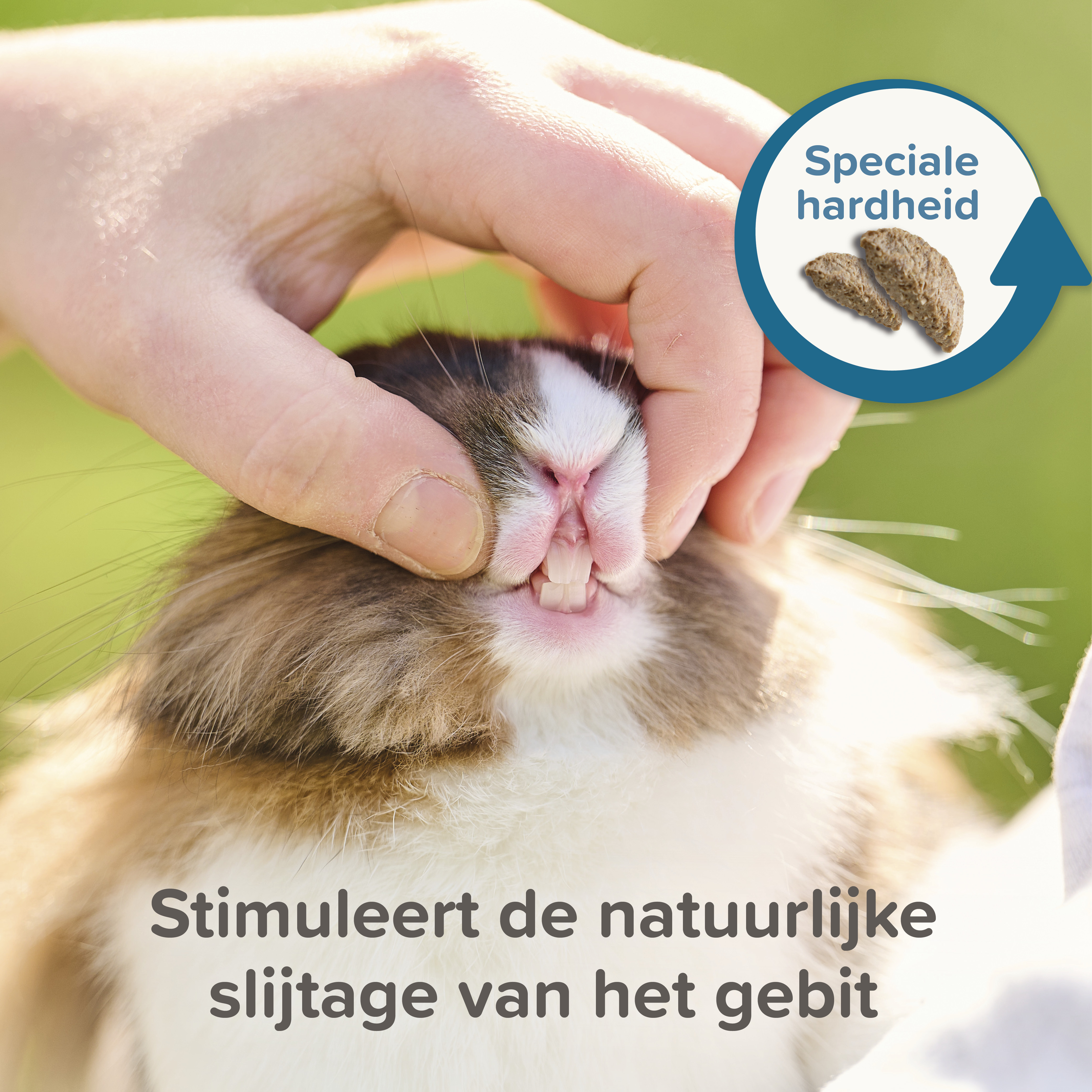 Beaphar Care+ Chinchilla 1,5kg