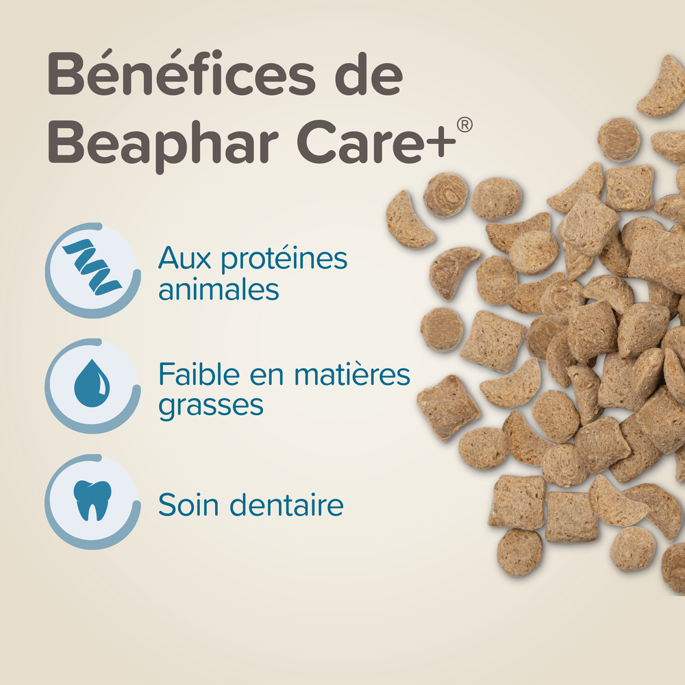 Care +, Alimentation extrudée super premium, Rat